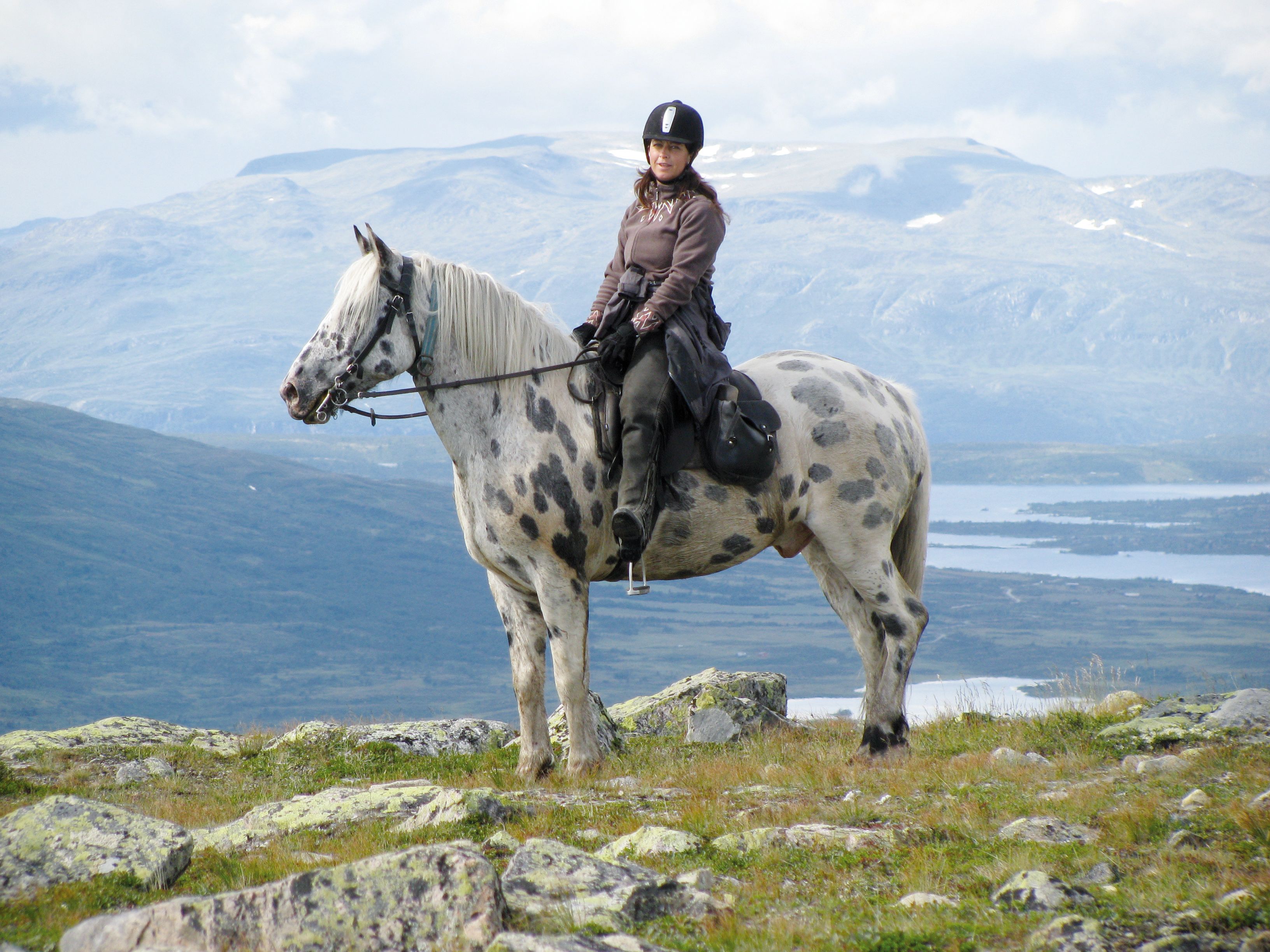 En person sitter på en hest i fjellene i Hemsedal på Østlandet