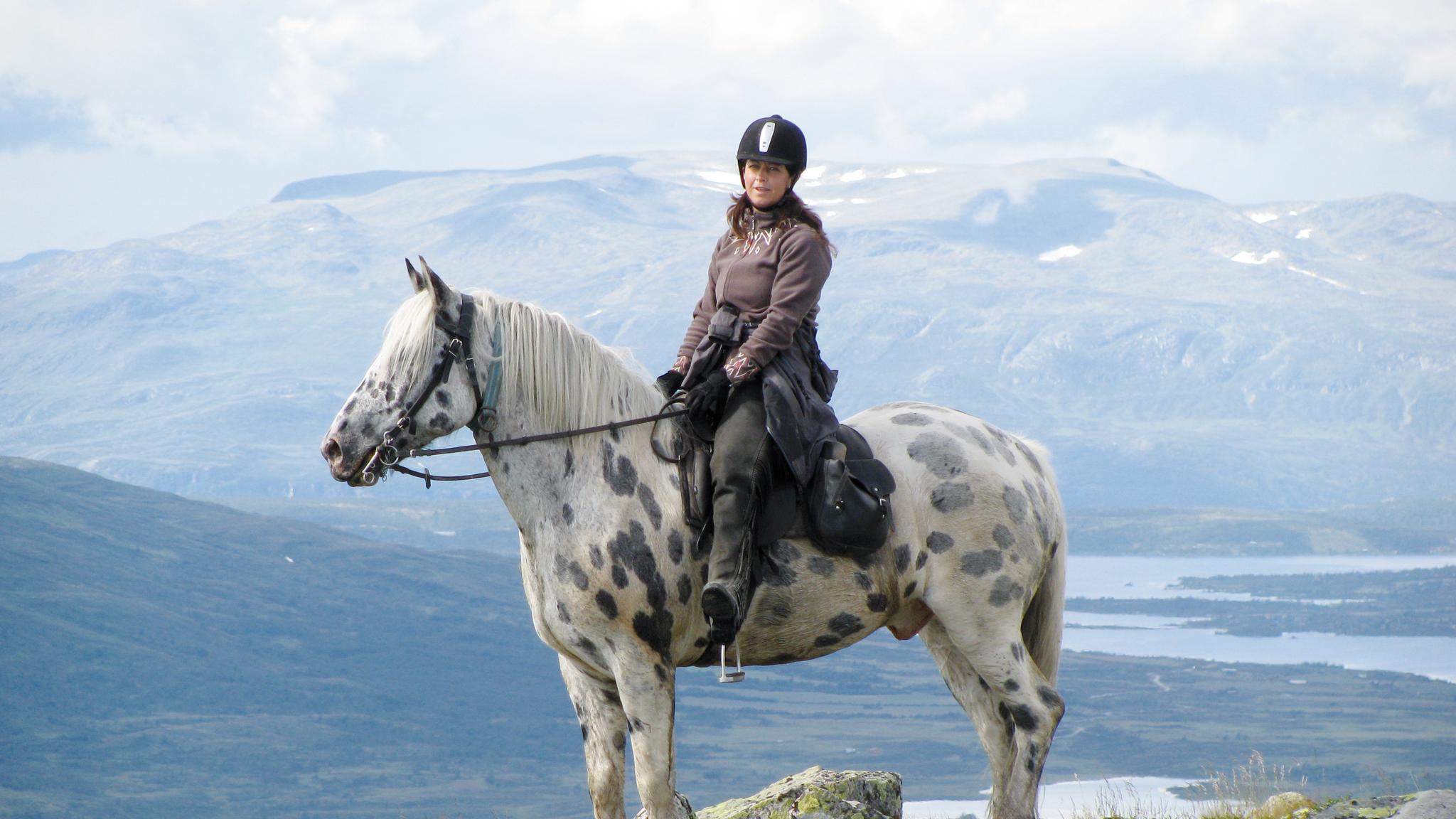 En person sitter på en hest i fjellene i Hemsedal på Østlandet