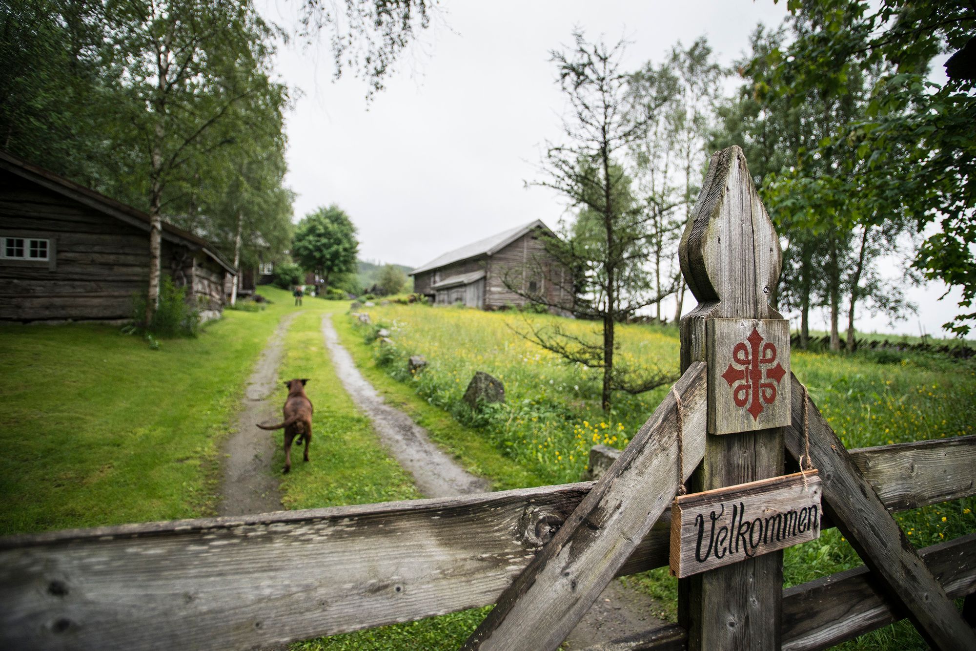 Borkerud pilgrim farm on the St. Olav Ways through Gudbrandsdalen, Eastern Norway