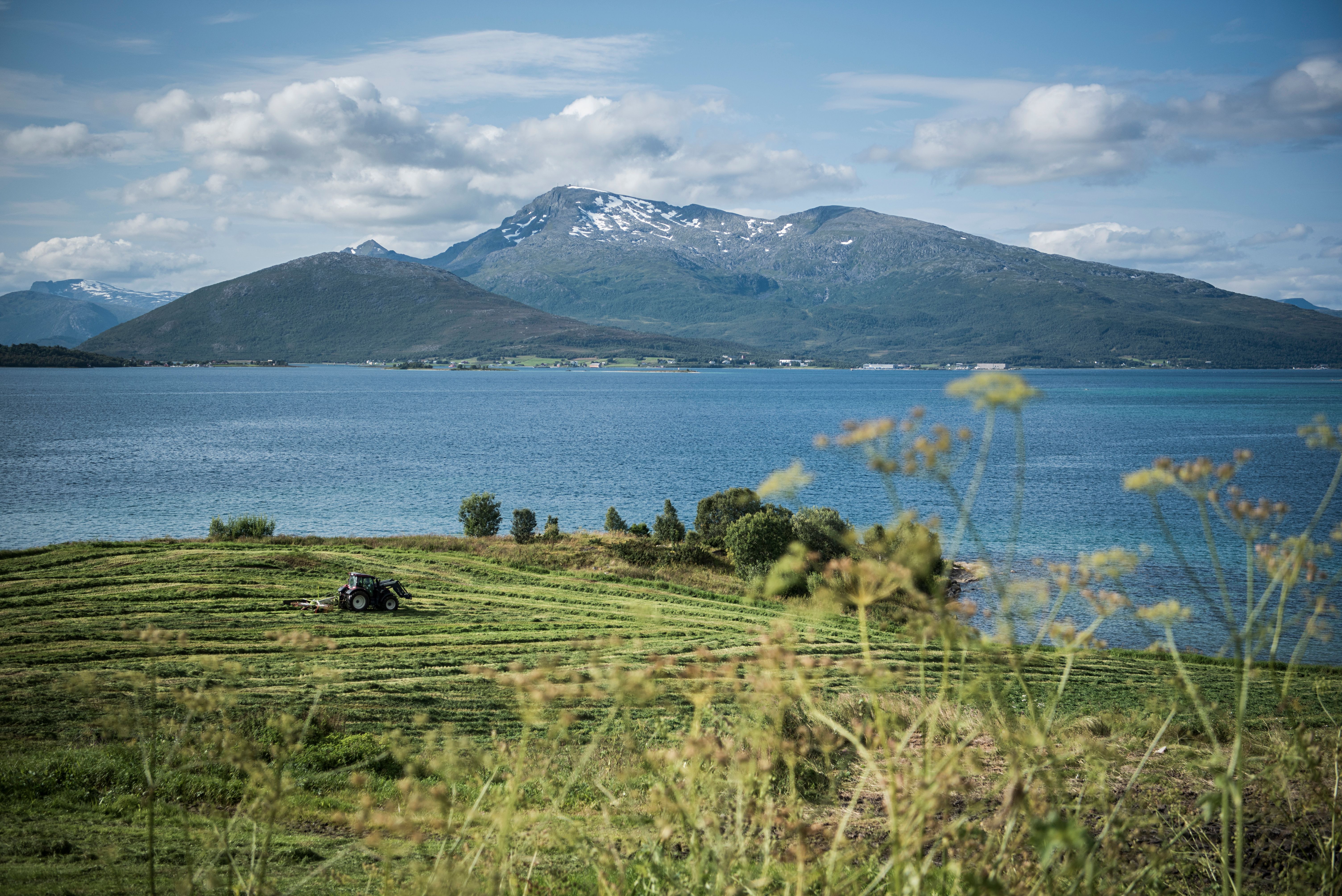 En traktor kjører på åkeren med fjorden og fjellene i bakgrunnen i nærheten av Harstad, Nord-Norge