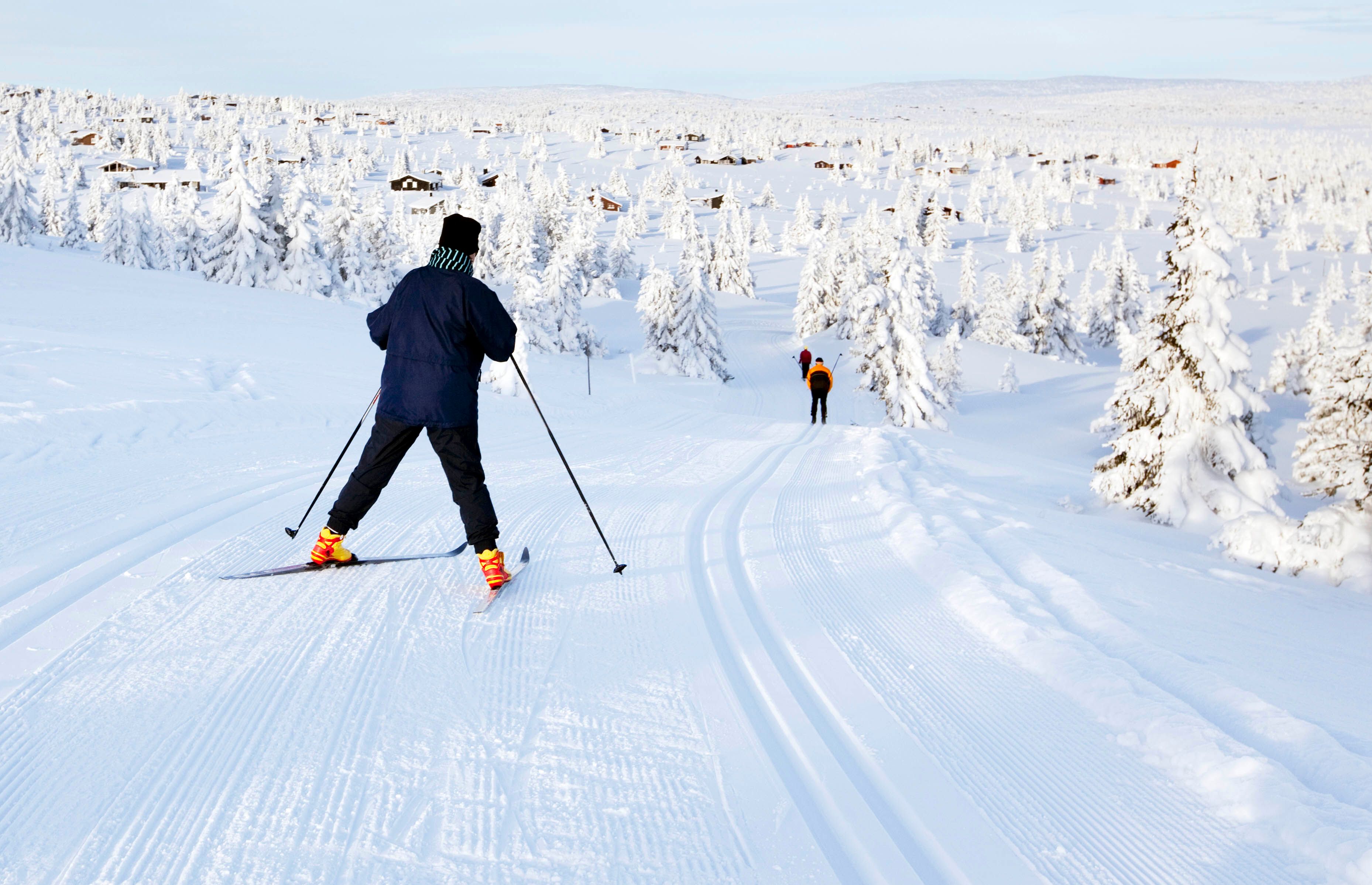 Cross-country skiing at Sjusjøen in Eastern Norway