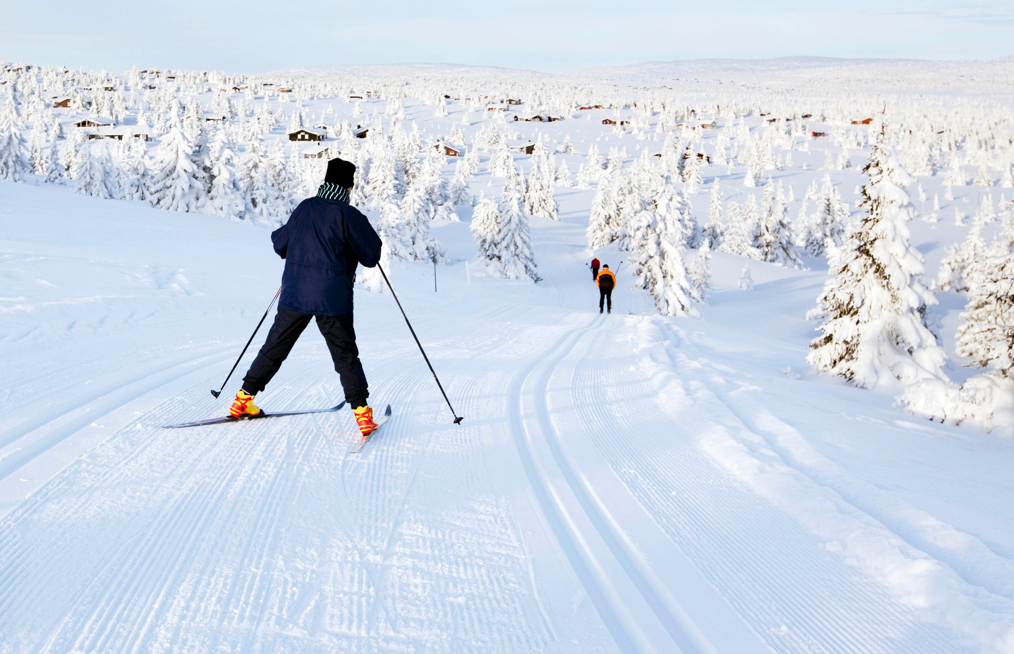 Cross-country skiing at Sjusjøen in Eastern Norway