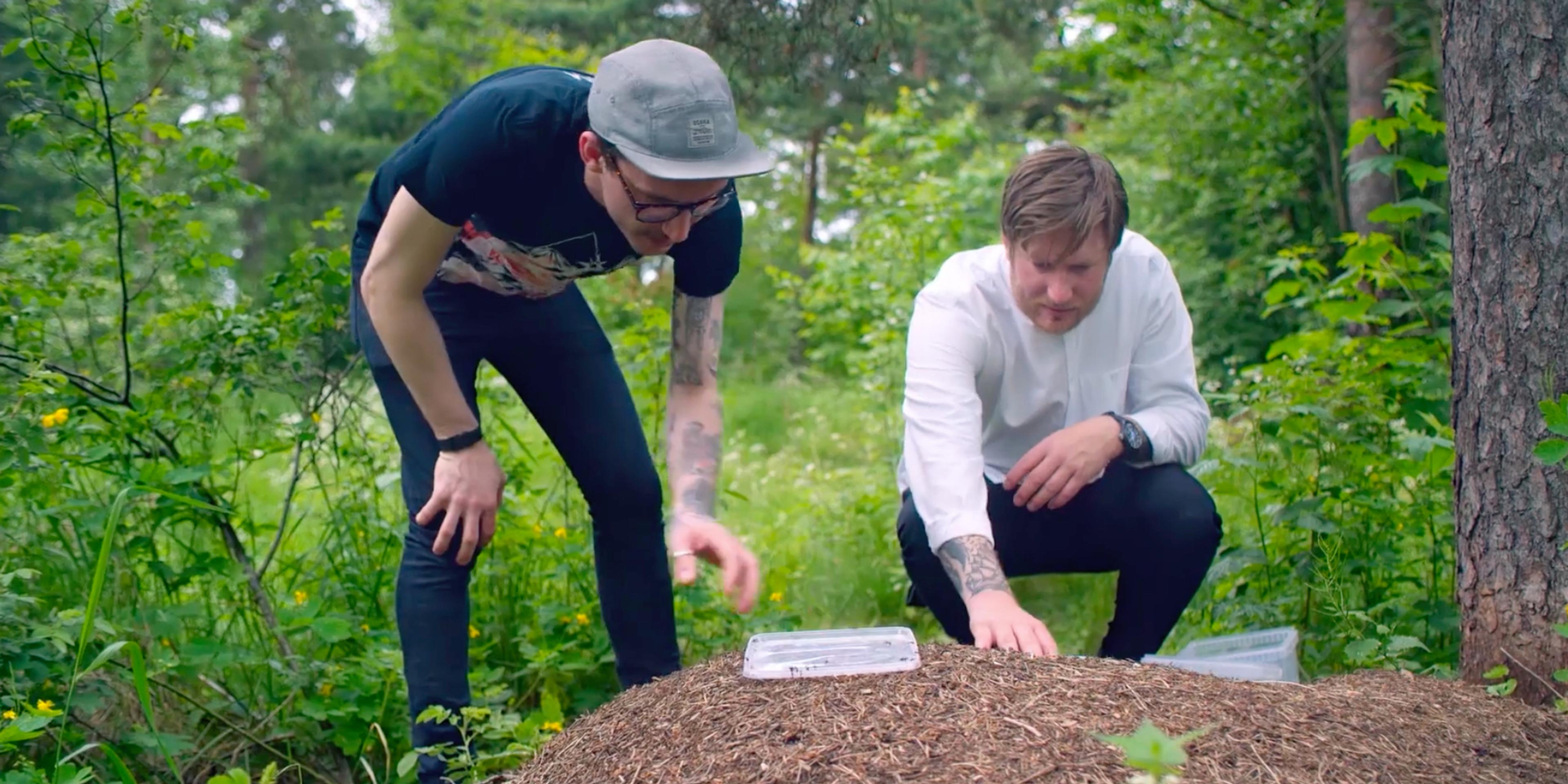 Food and drink in Oslo, Eastern Norway