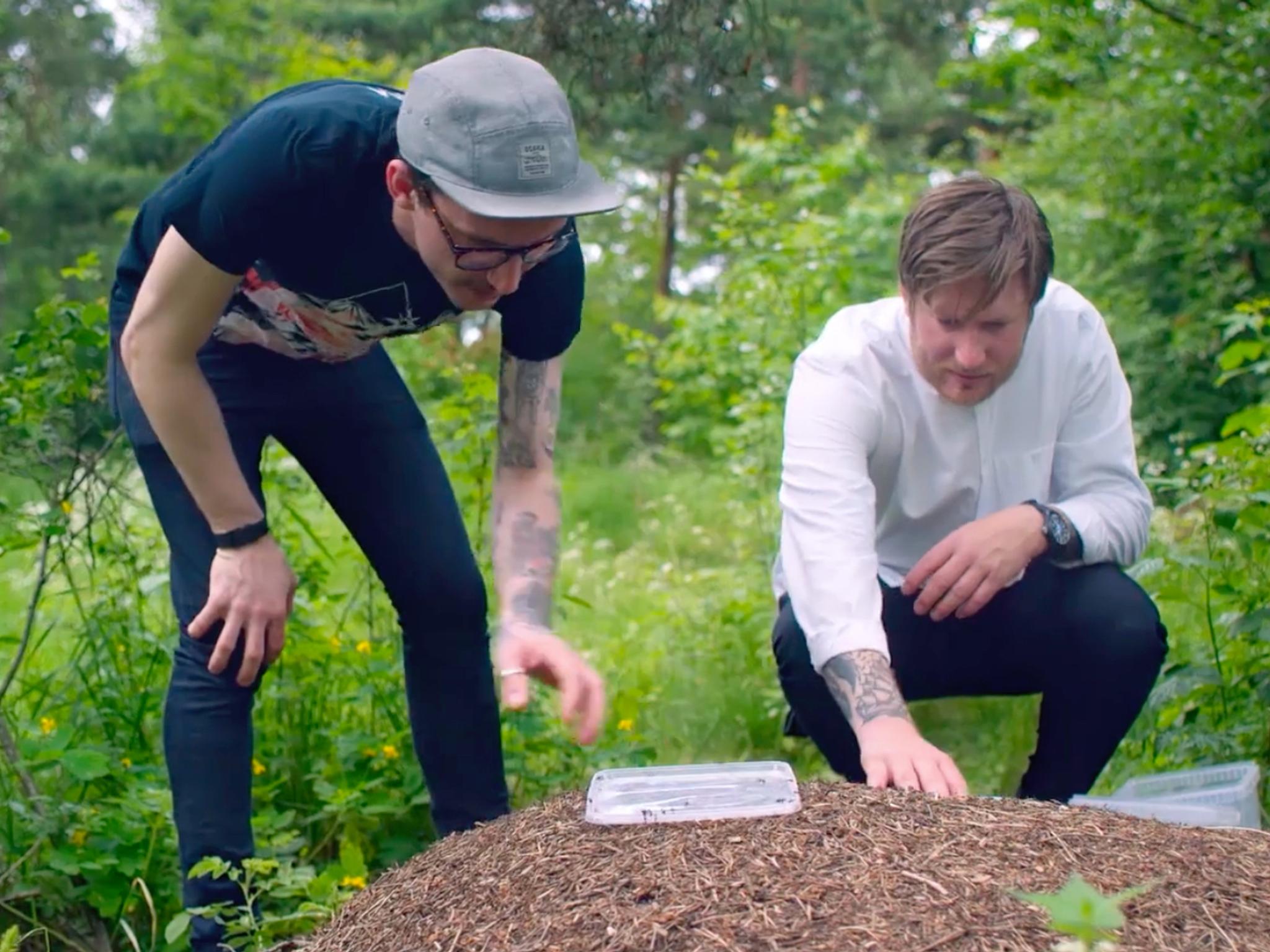 Food and drink in Oslo, Eastern Norway