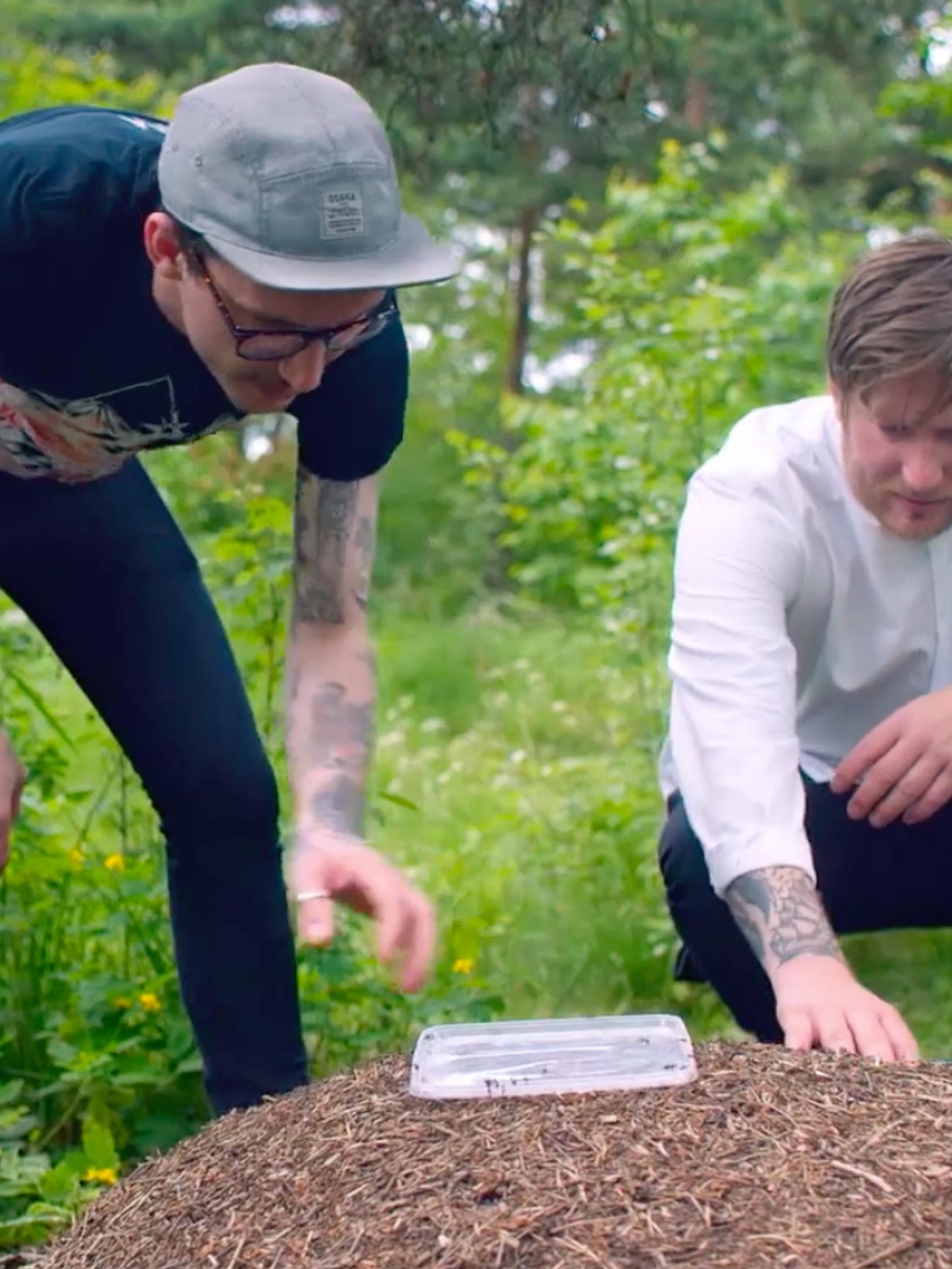 Food and drink in Oslo, Eastern Norway