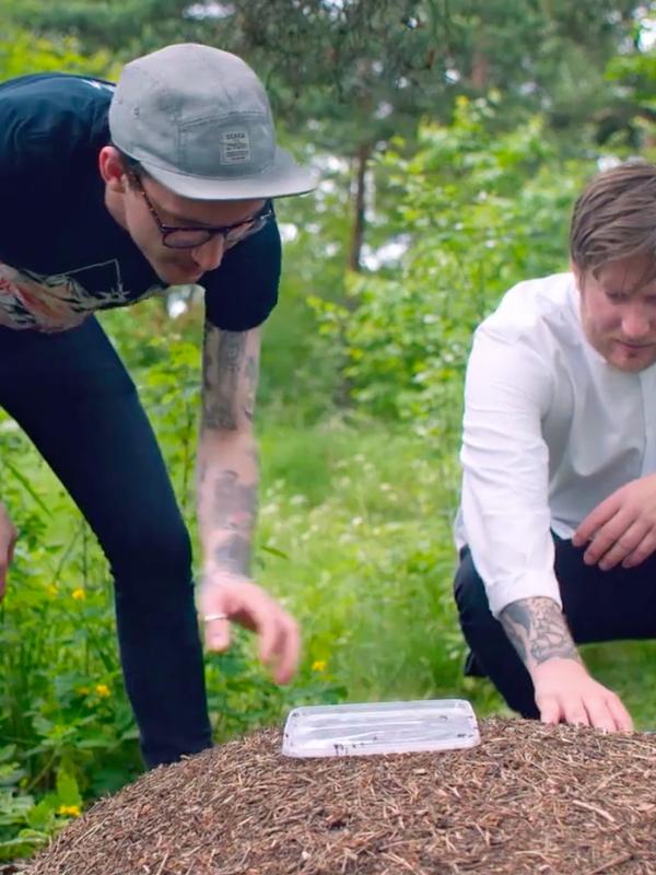 Food and drink in Oslo, Eastern Norway