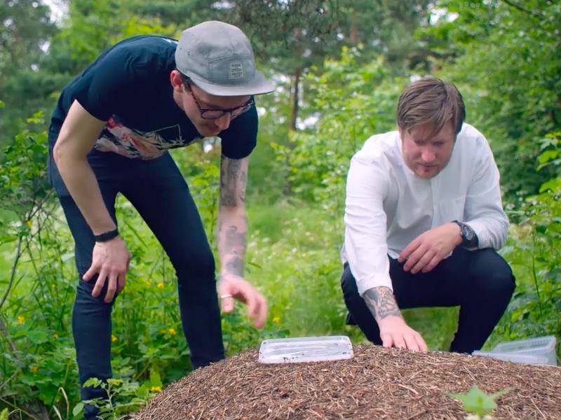 Food and drink in Oslo, Eastern Norway