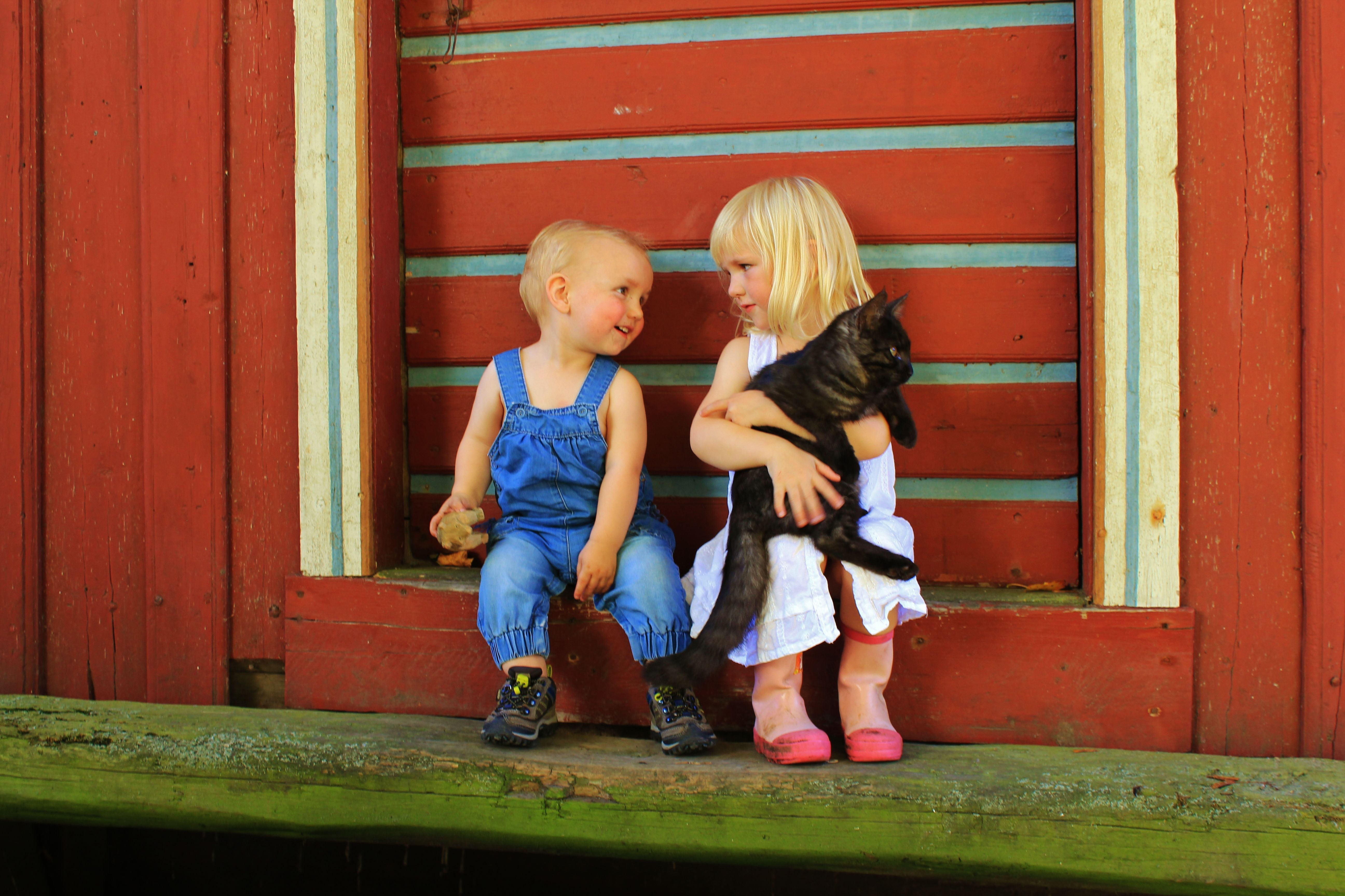 Nordigard Bjørge Gjestegard