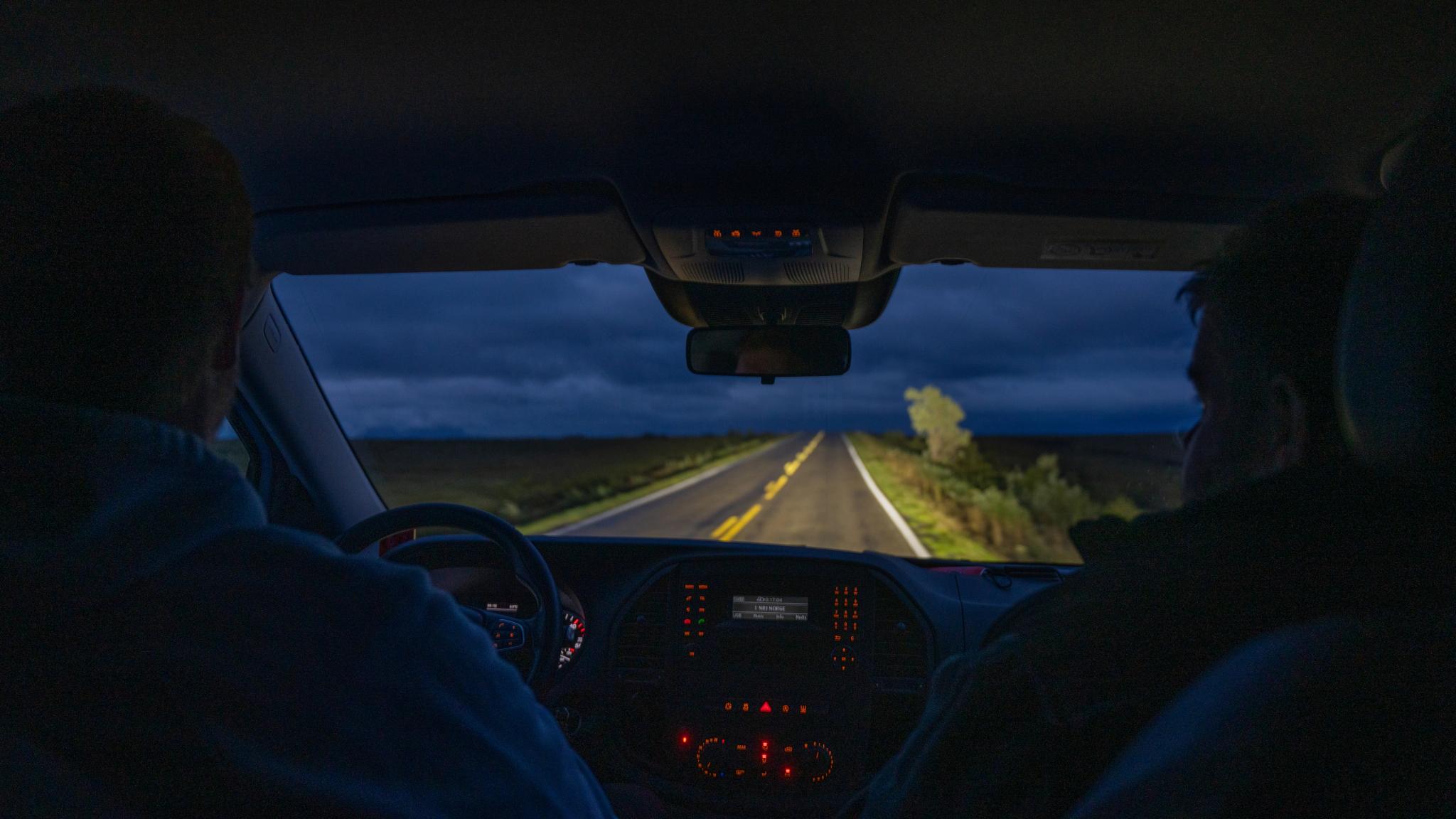 Moose safari at dawn at Andøya in Vesterålen, Northern Norway