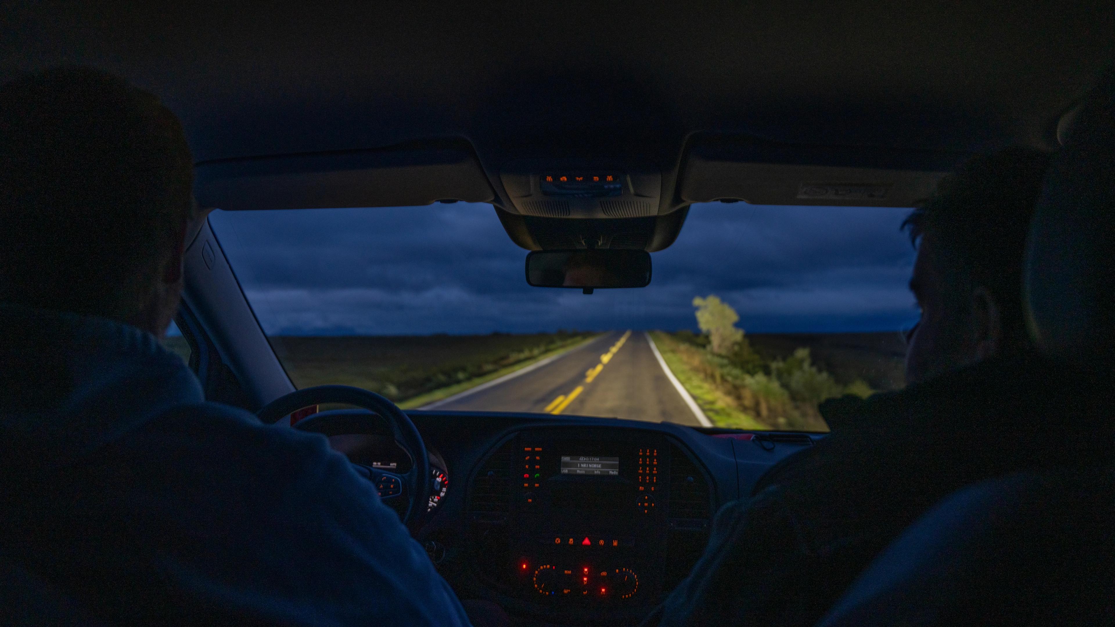 Moose safari at dawn at Andøya in Vesterålen, Northern Norway