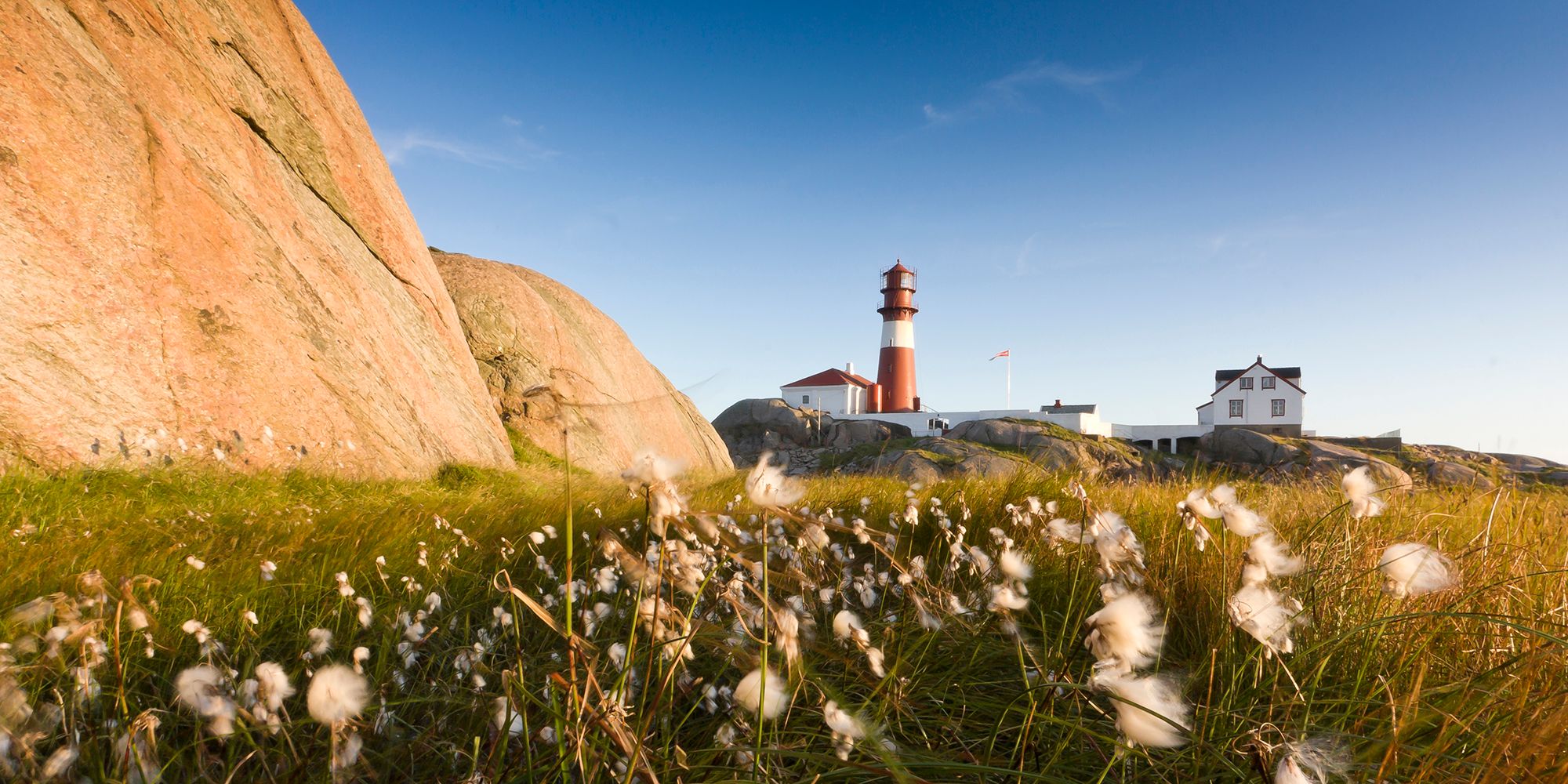 Flores y vegetación en primer plano, con el faro de Ryvinge, en Lindesnes, Sur de Noruega, de fondo.