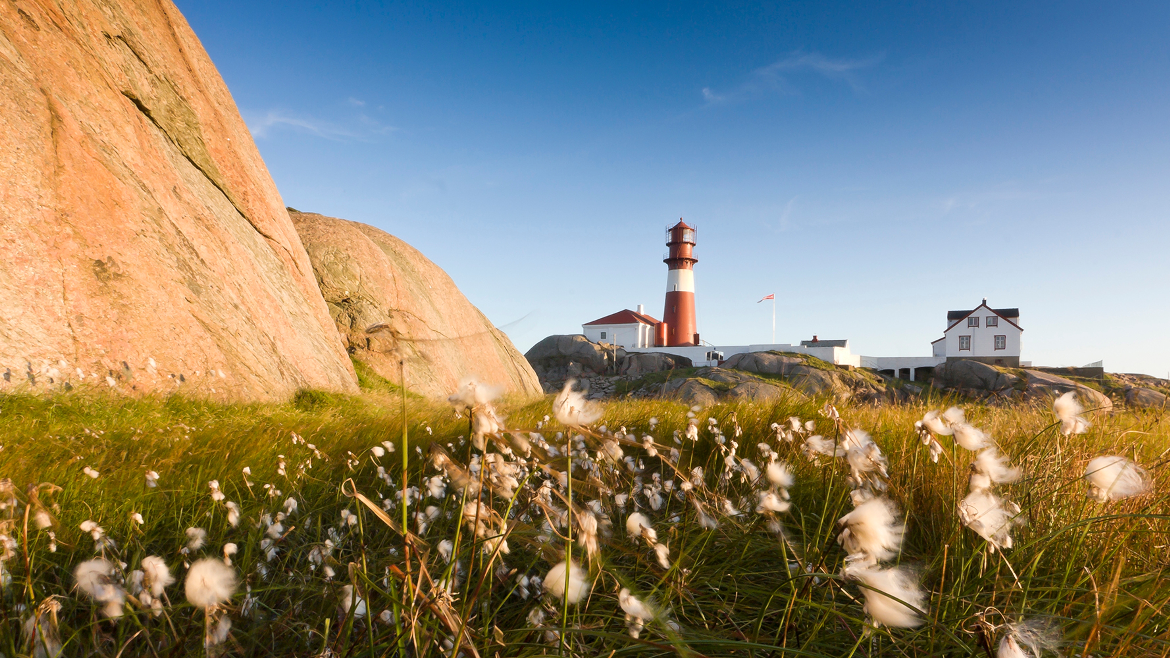 A flower meadow in front of Ryvingen lighthouse in Lindesnes in Southern Norway