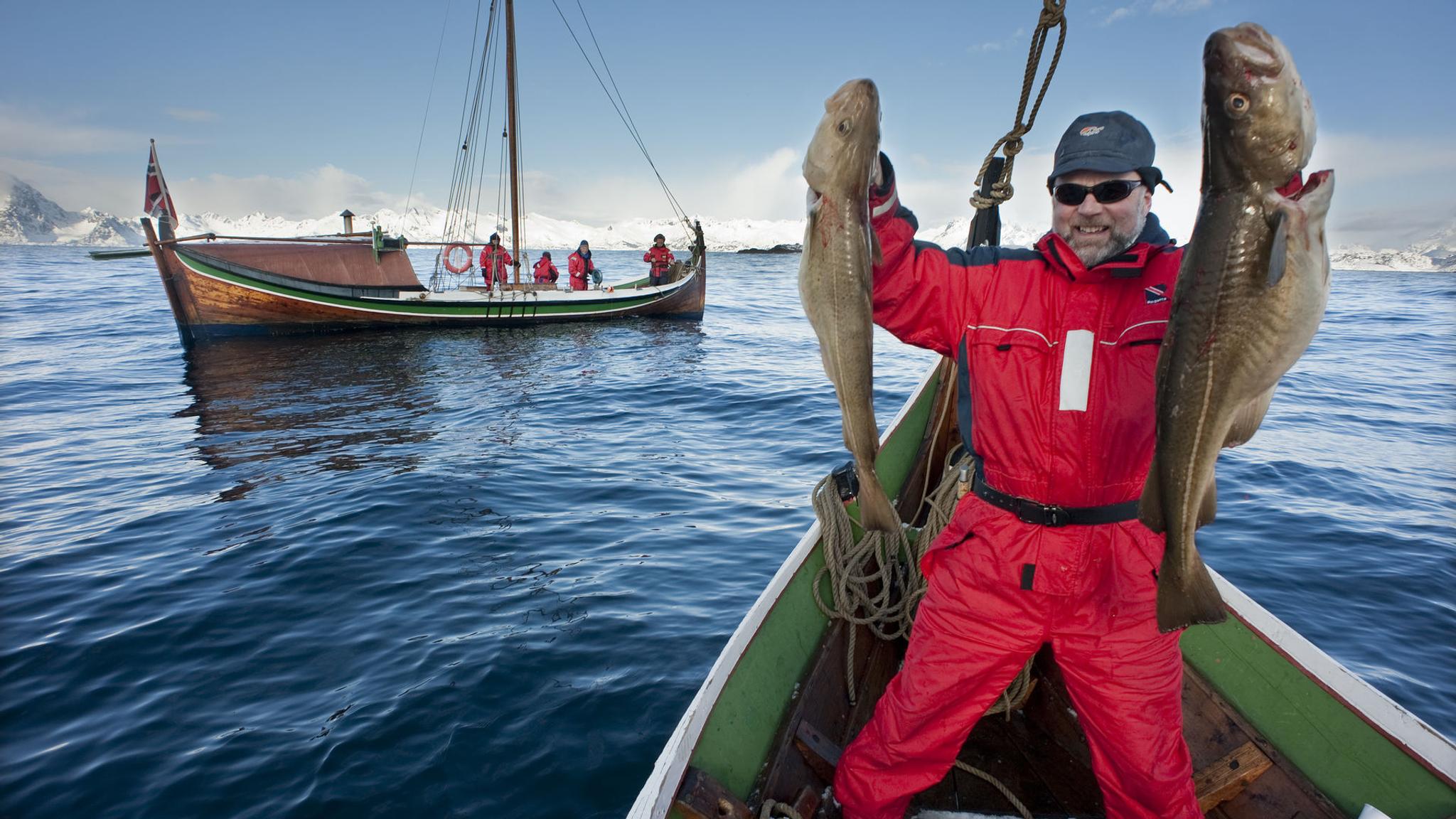 En man håller upp två stora torskar på en båt utanför Bodø i norra Norge