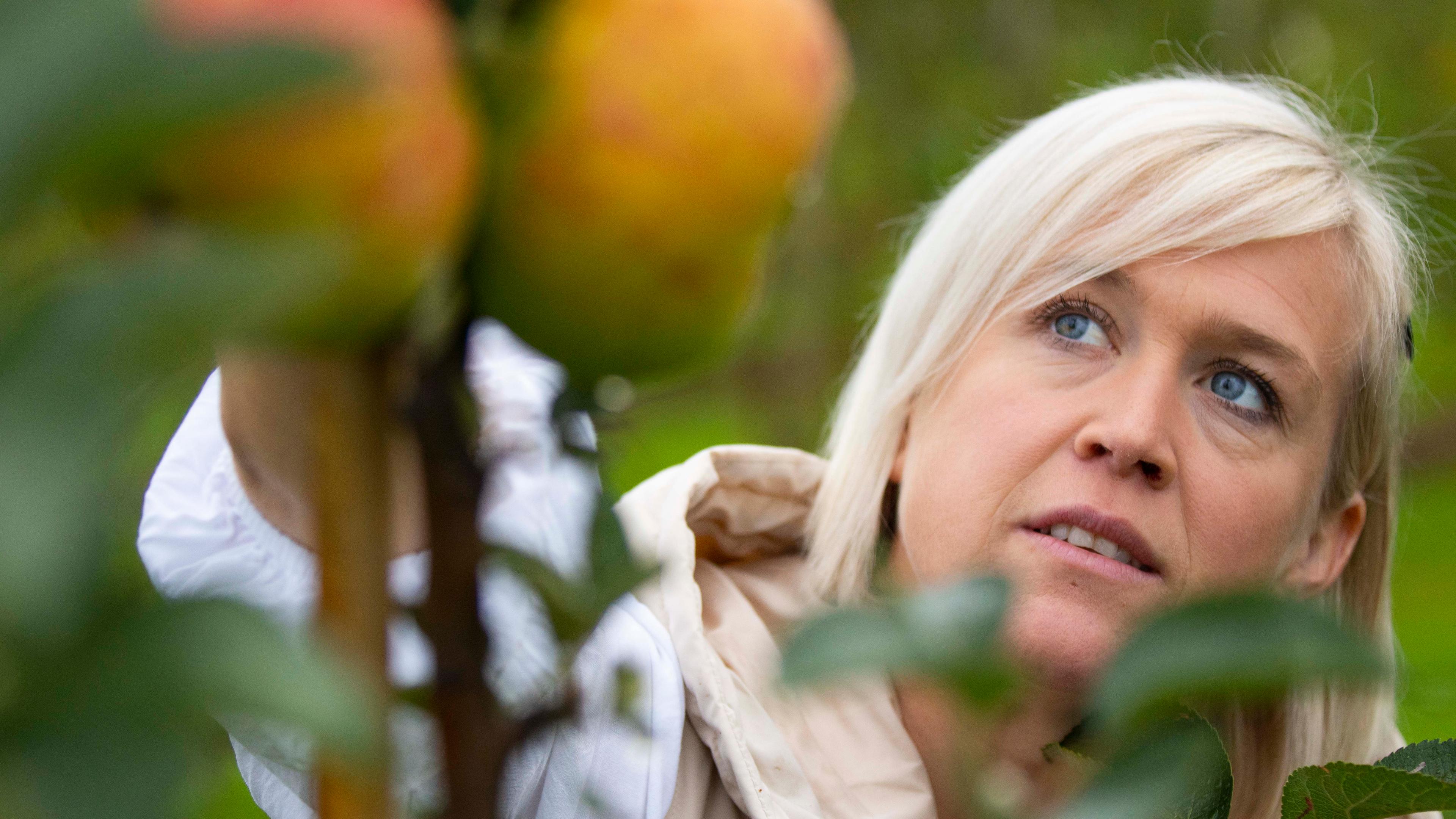 A woman is stretching for a apple.