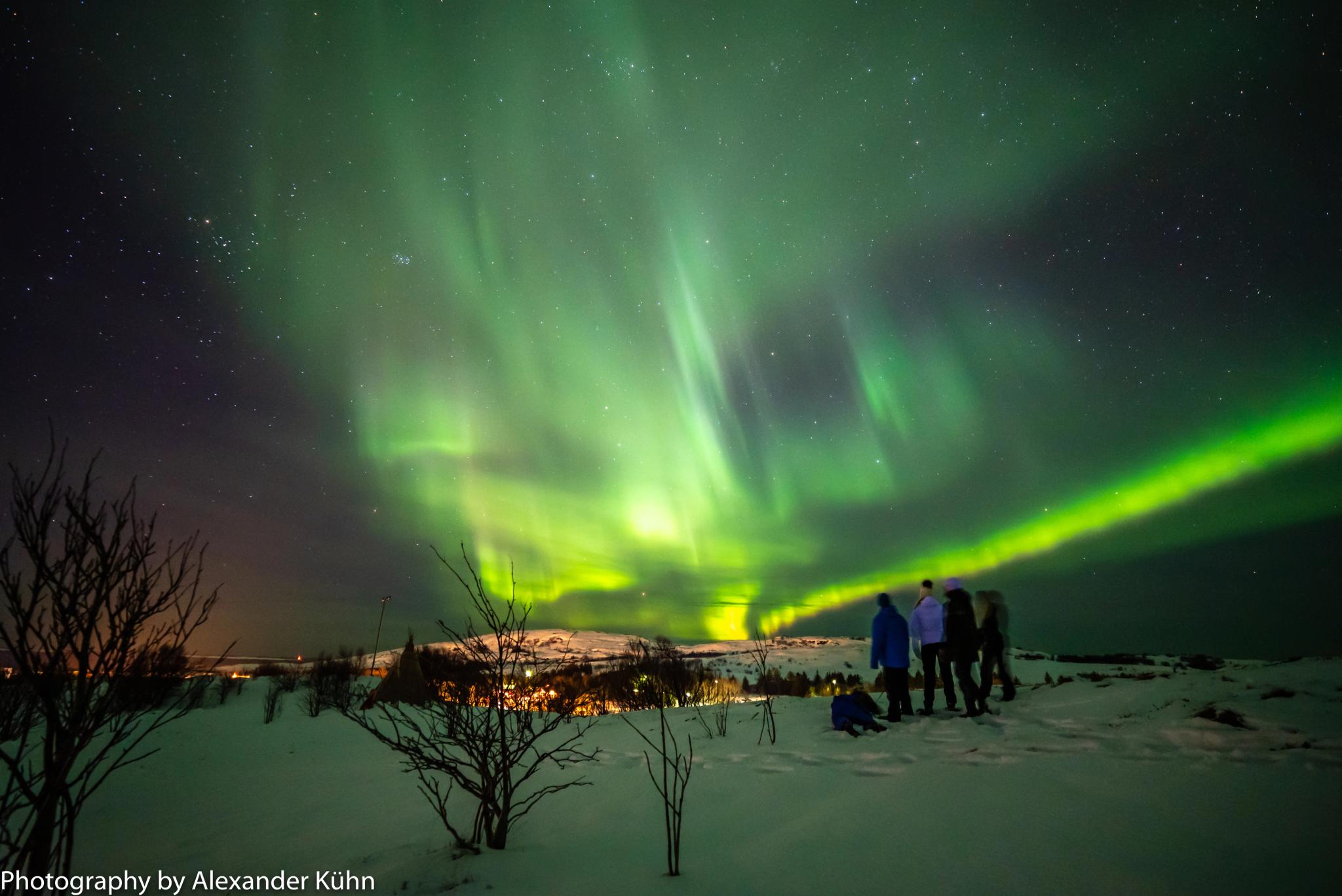 People looking at the northern lights