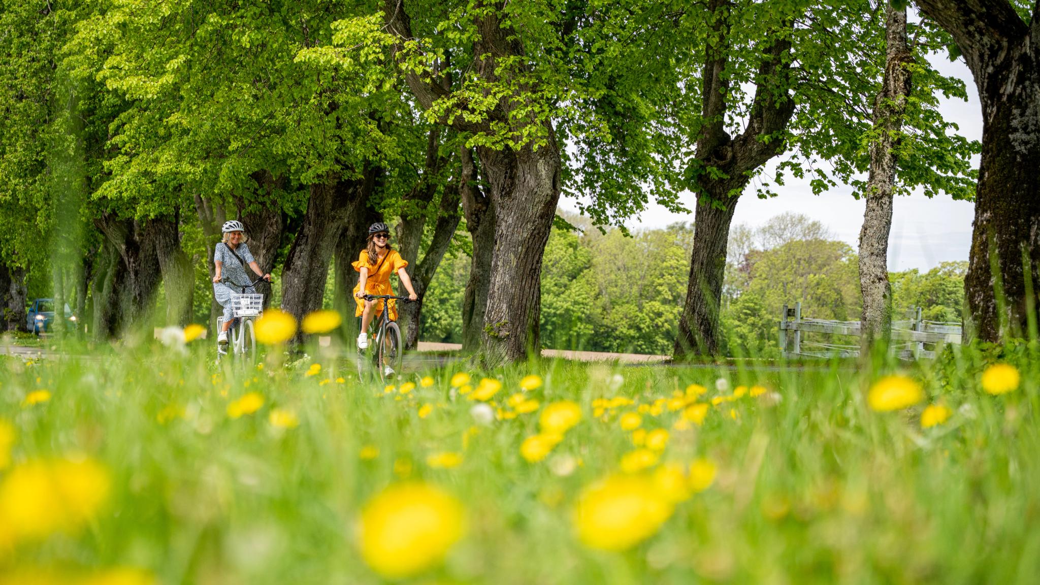 Two women biking in an alley at Jeløy in Moss