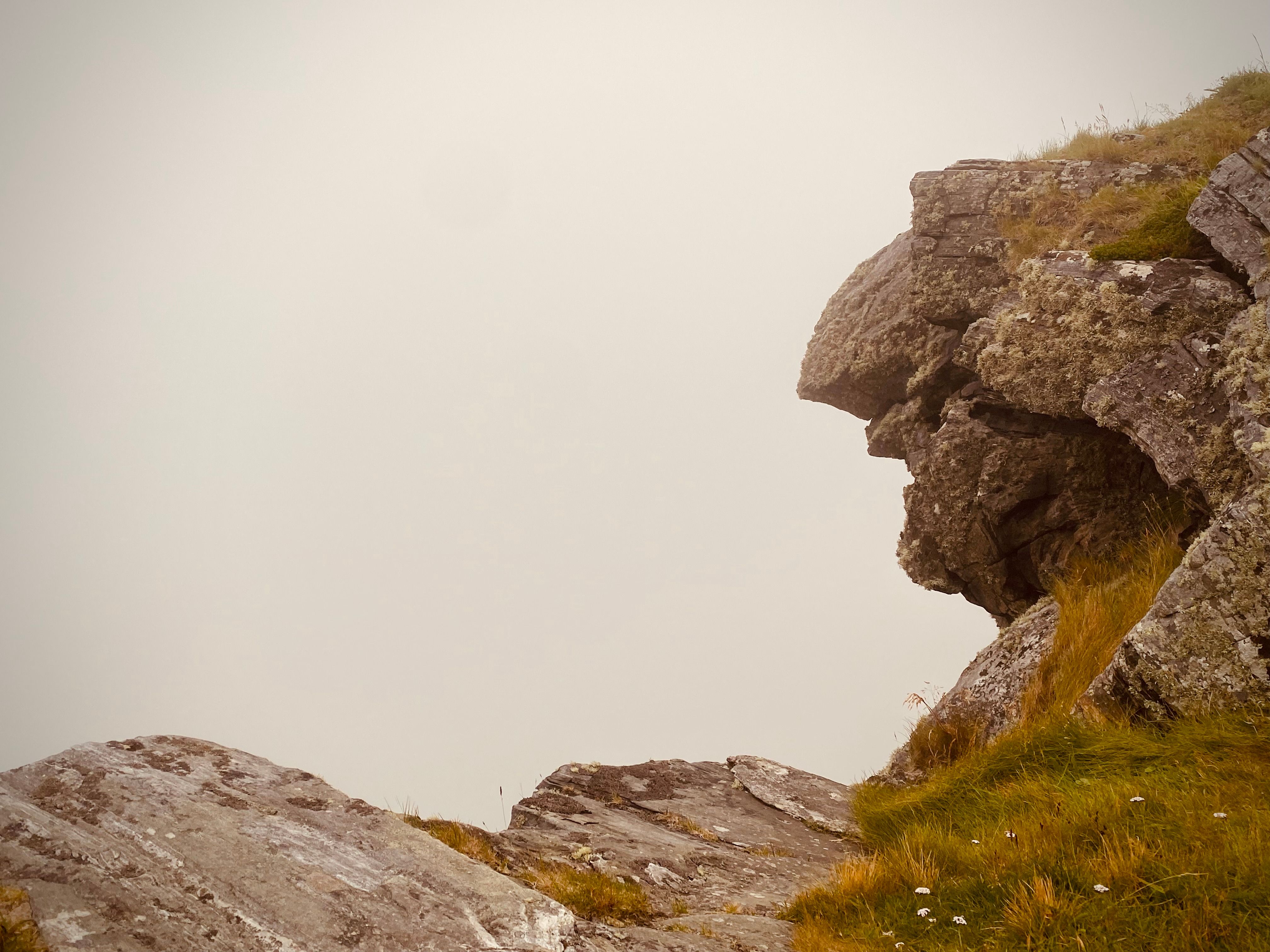 A stone that looks like a troll