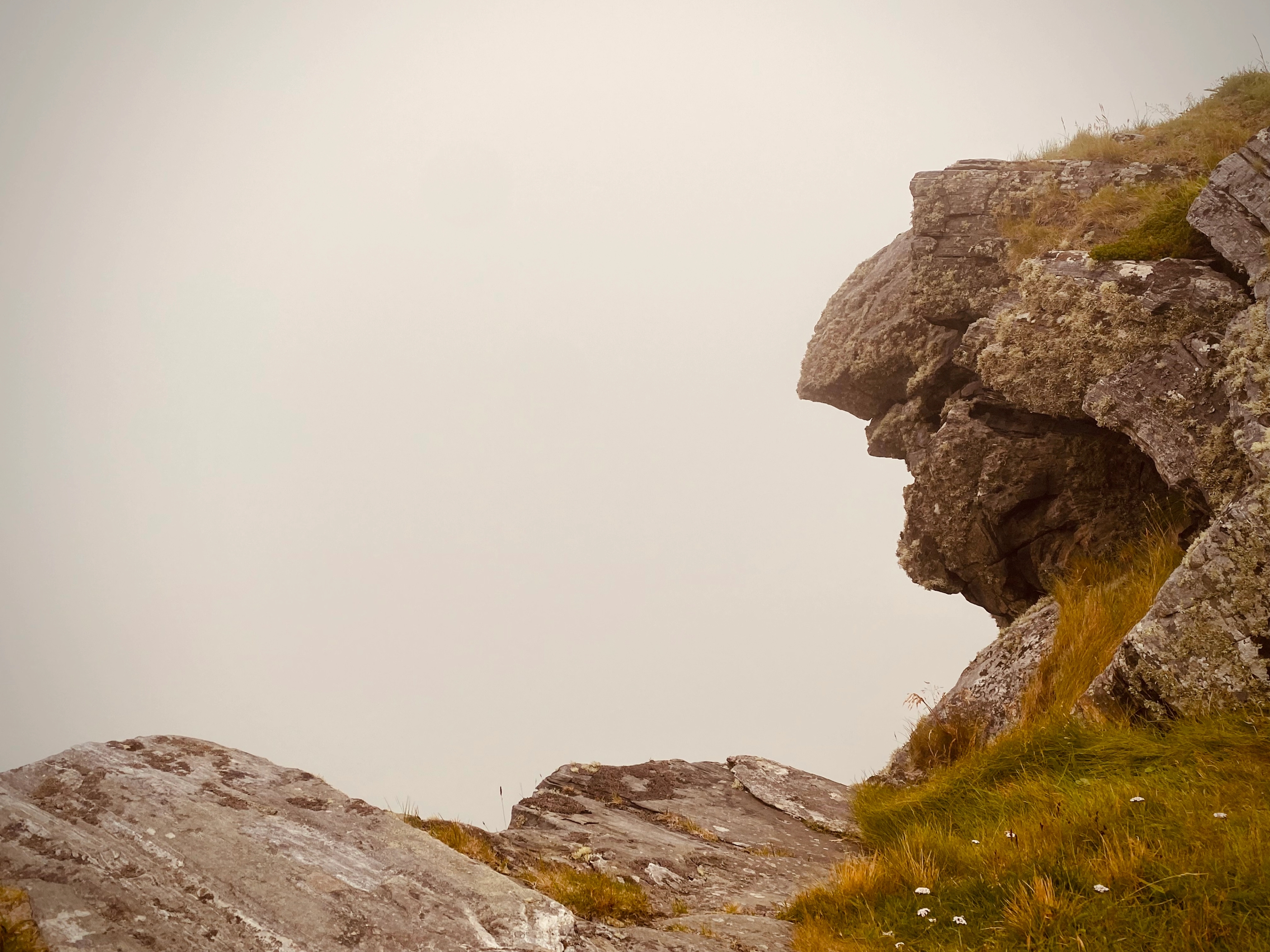 A stone that looks like a troll