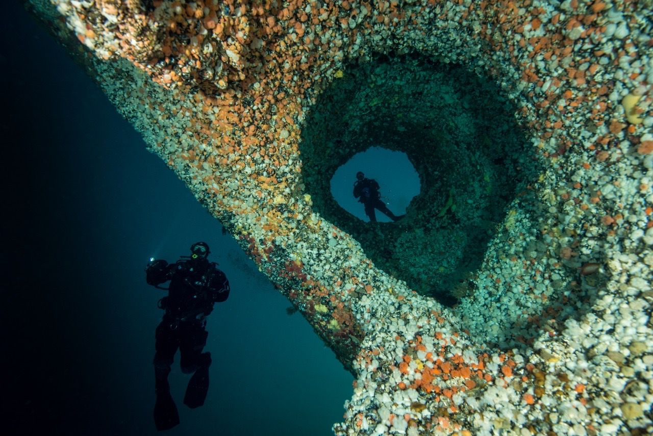 Man scuba diving in a giant's kettle in Saltstraumen in Northern Norway