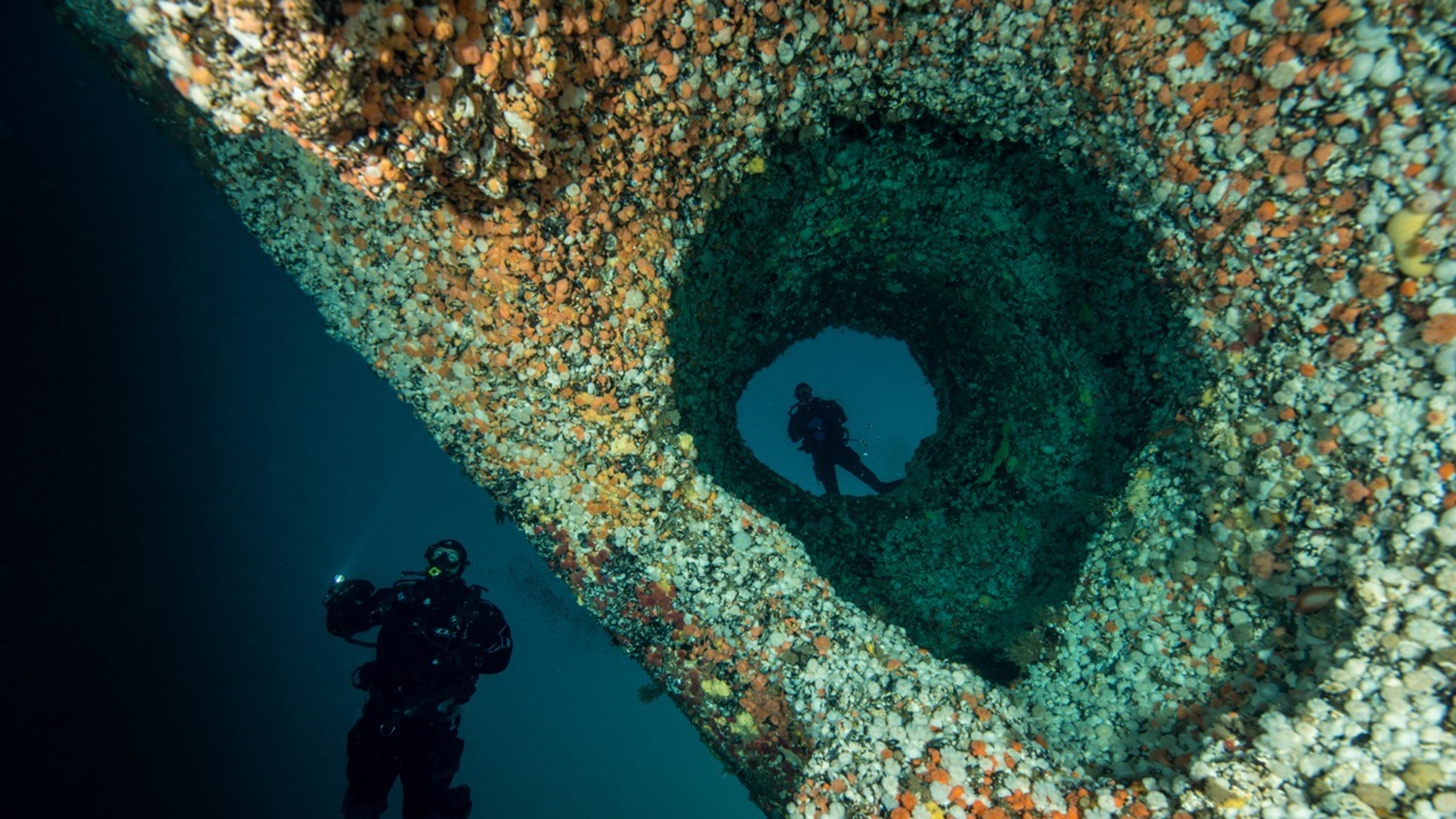 Man scuba diving in a giant's kettle in Saltstraumen in Northern Norway