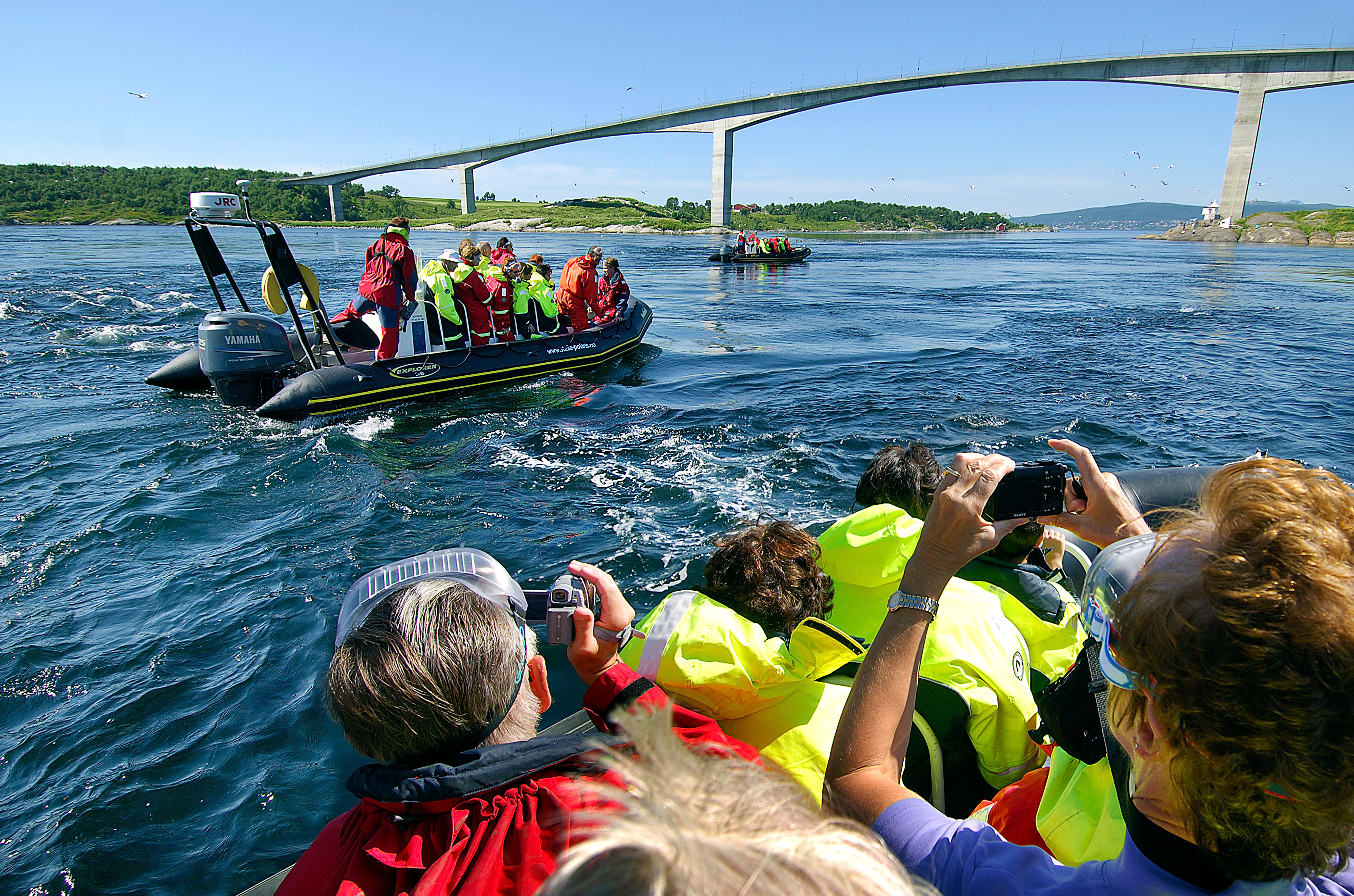 RIB boat safari at Saltstraumen outside Bodø in Northern Norway