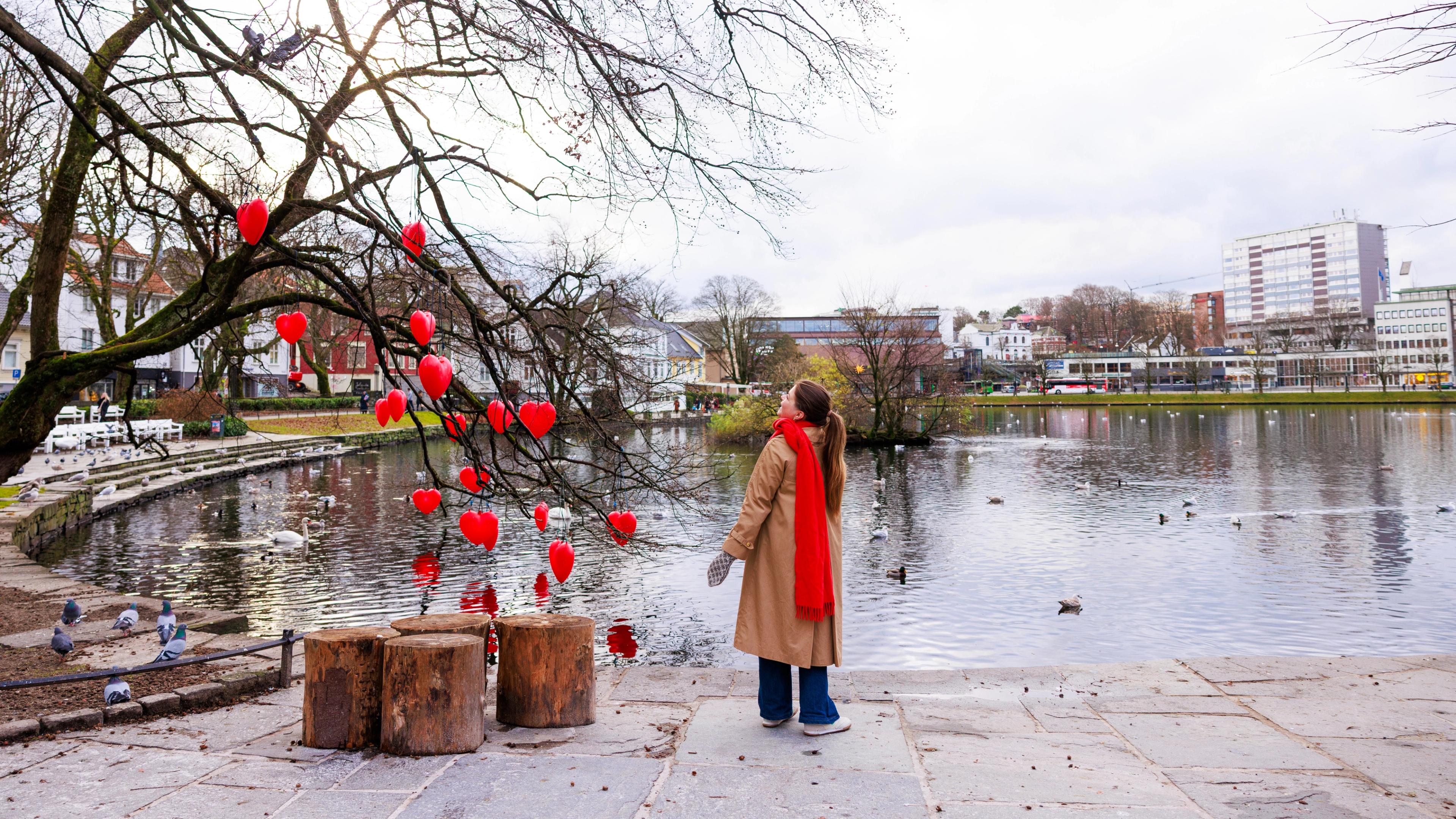 A woman strolling by Breiavatnet lake in Stavanger city. A tree is adorned with red heart-shaped balloons.