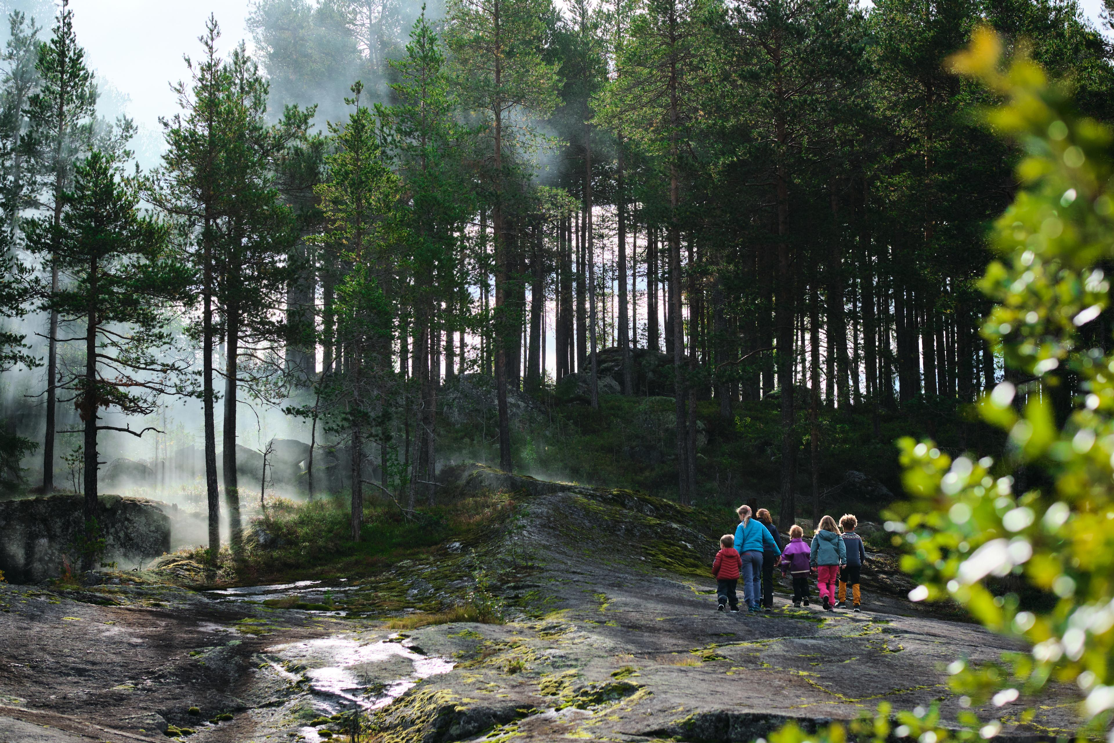 A family going into a mythical forest in Norway