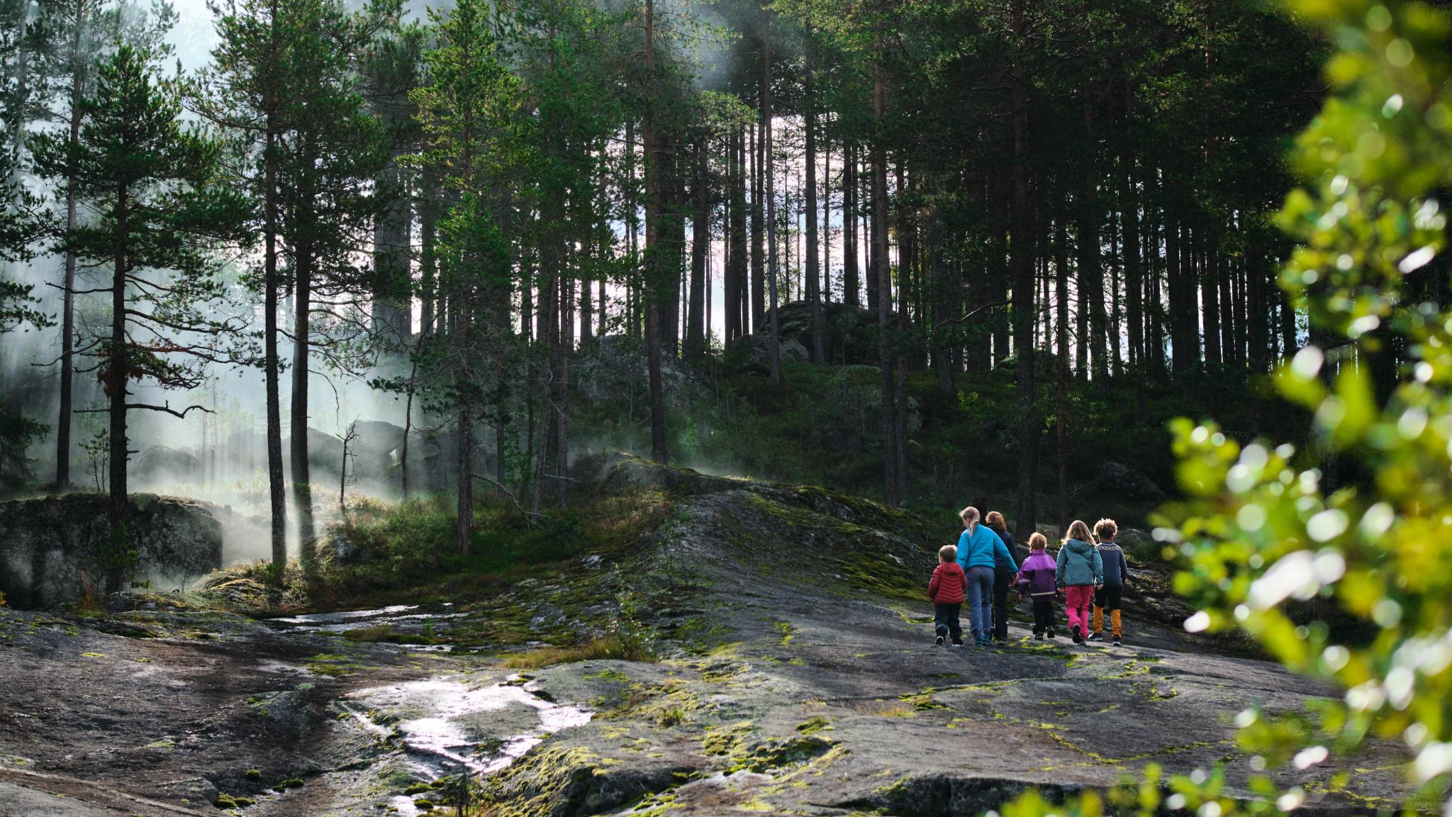 A family going into a mythical forest in Norway