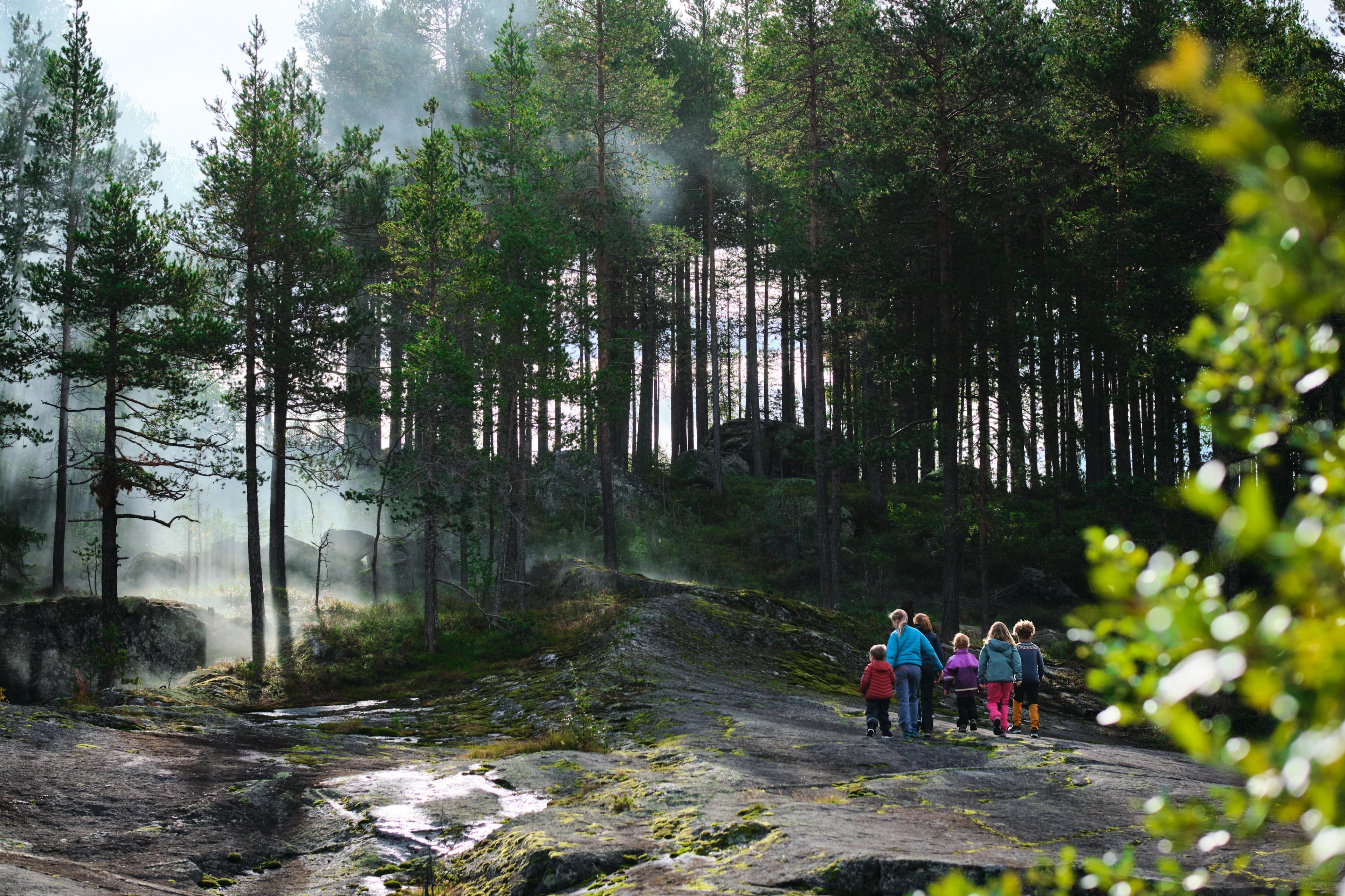 A family going into a mythical forest in Norway