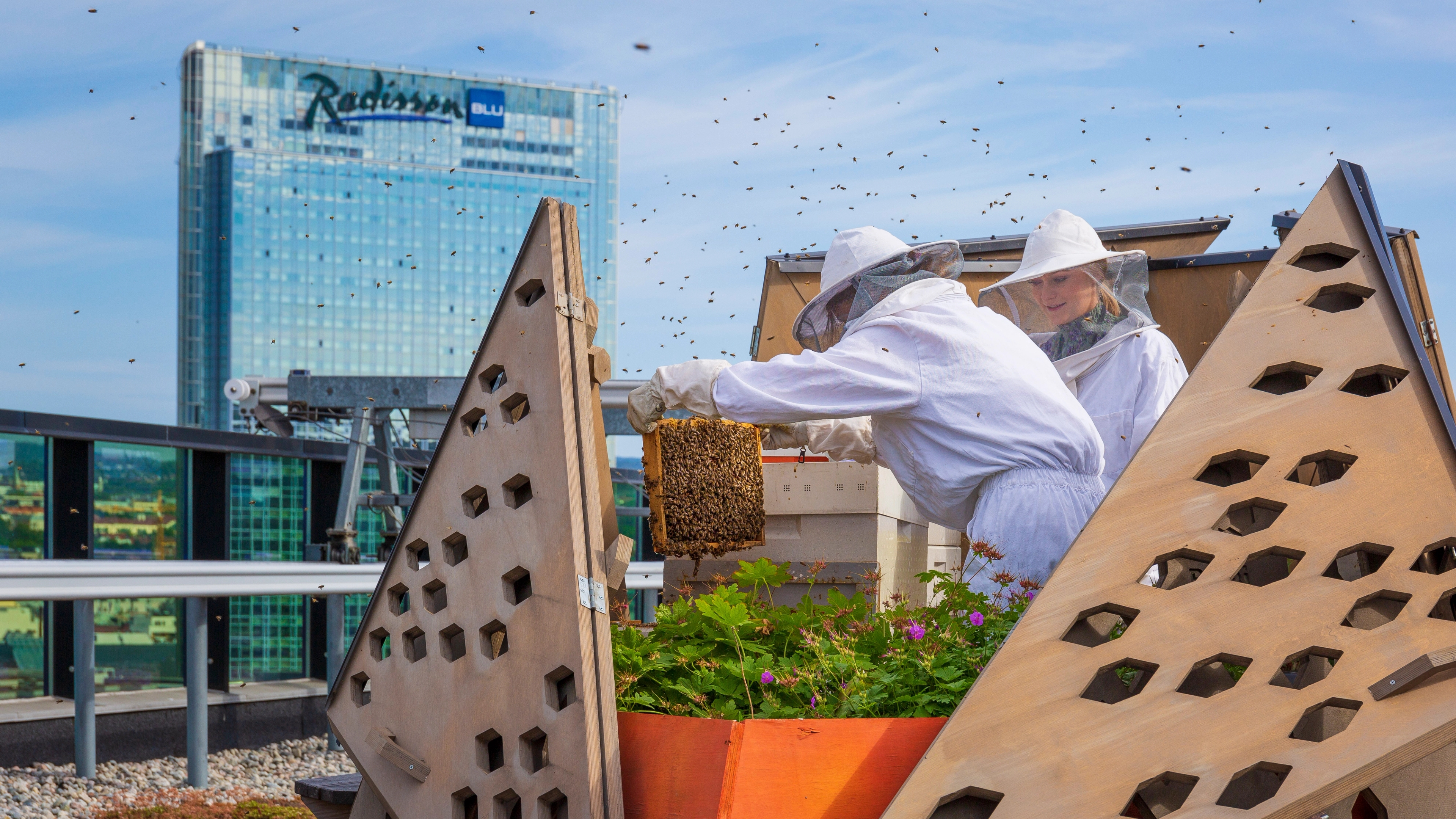 To birøktere jobber på et urbant birøkteri på toppen av en bygning i Oslo