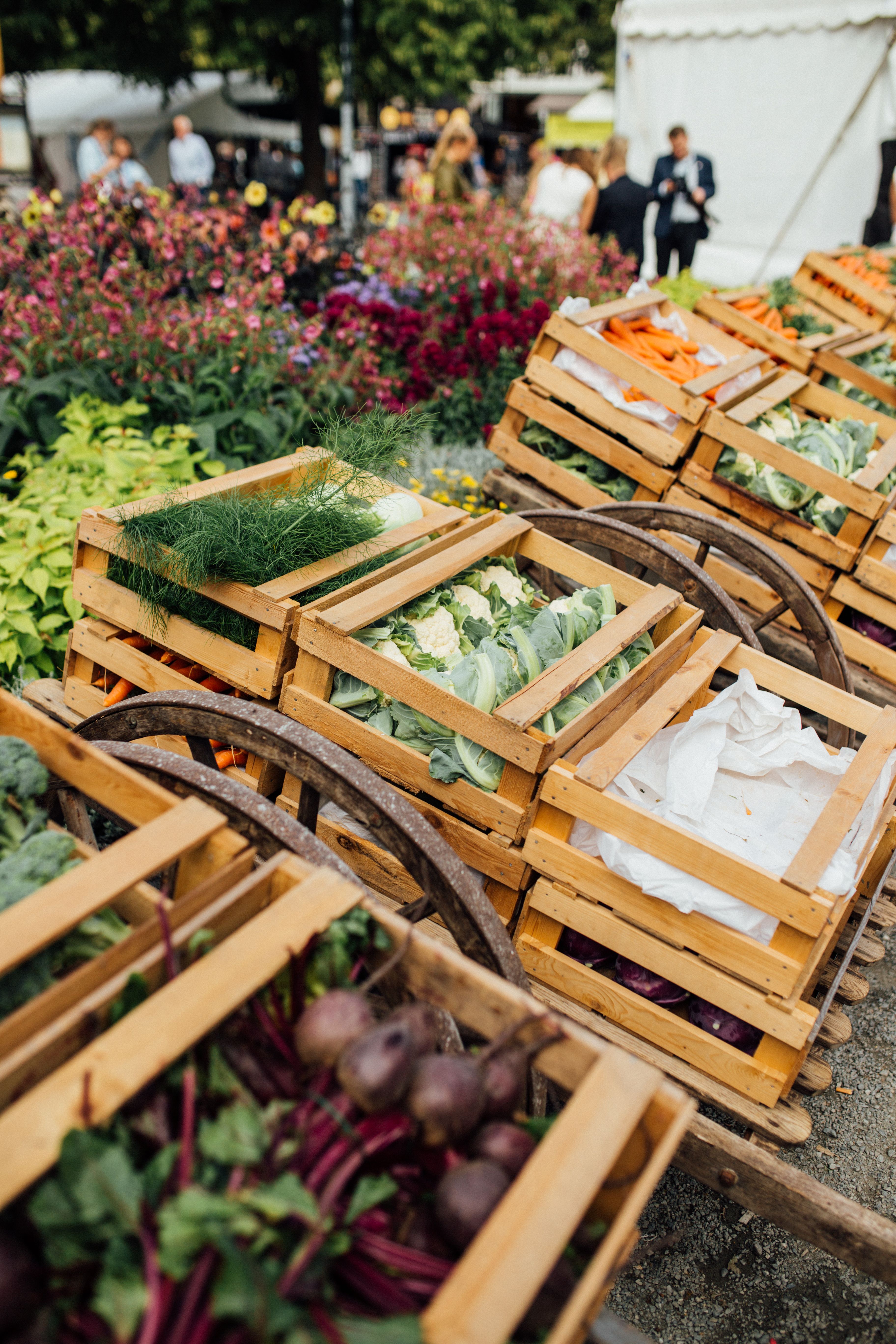 Several crates of vegetables at Trøndelag food festival in Trondheim