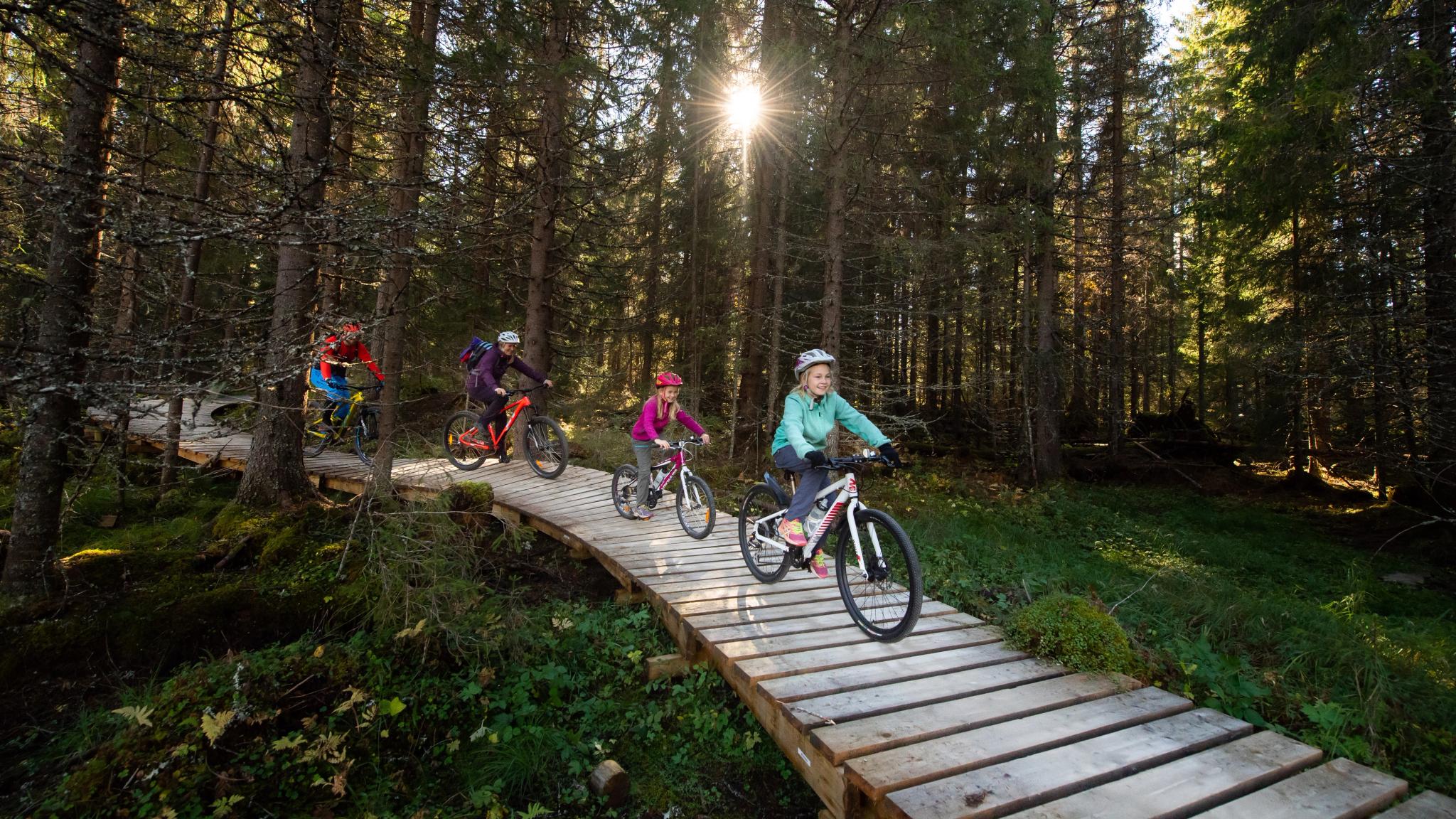 En familj med fyra personer cyklar genom skogarna i Trysil, Østlandet (östra Norge)