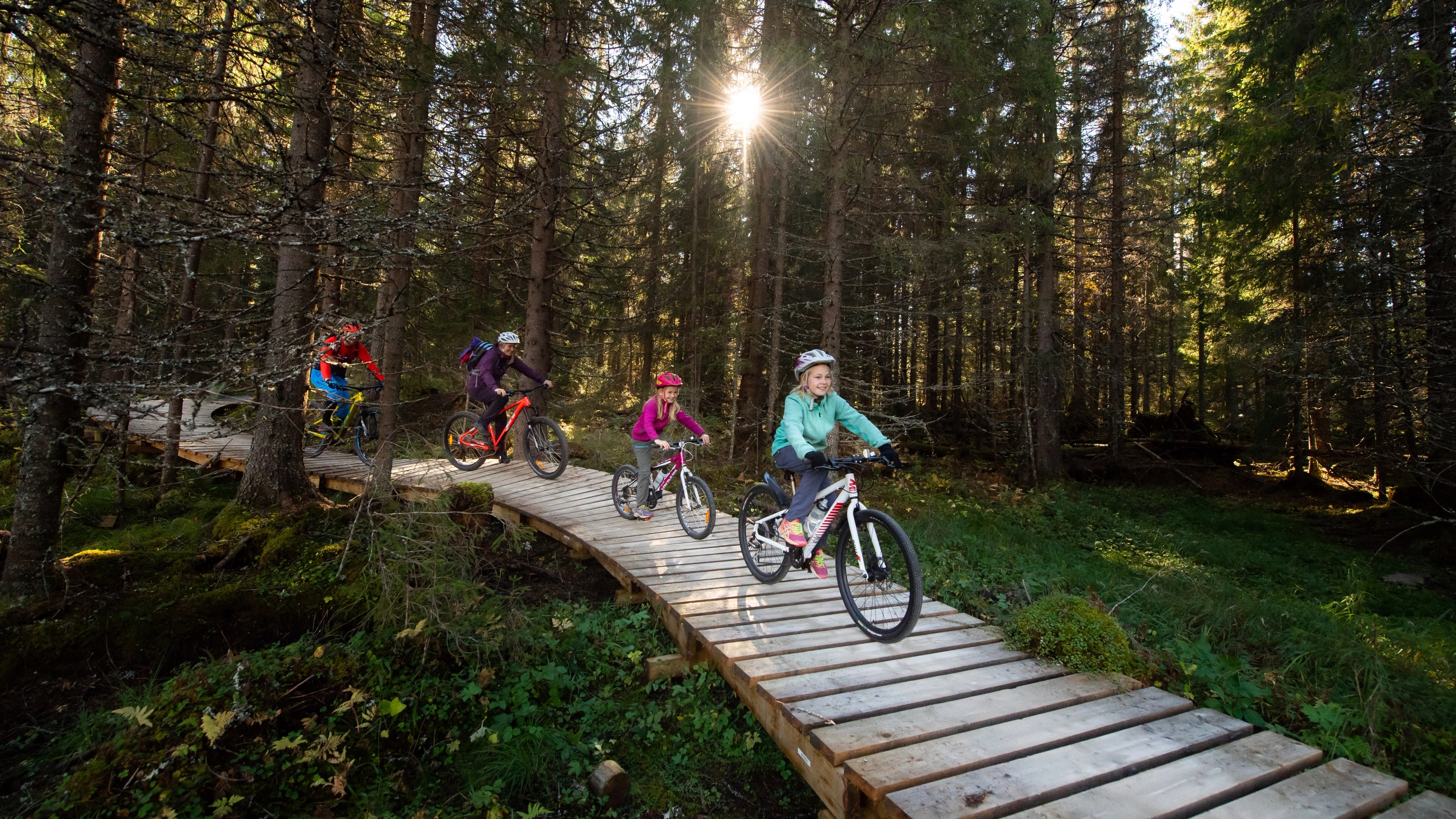 A family of four is biking through the woods in Trysil bike arena in Trysil, Eastern Norway