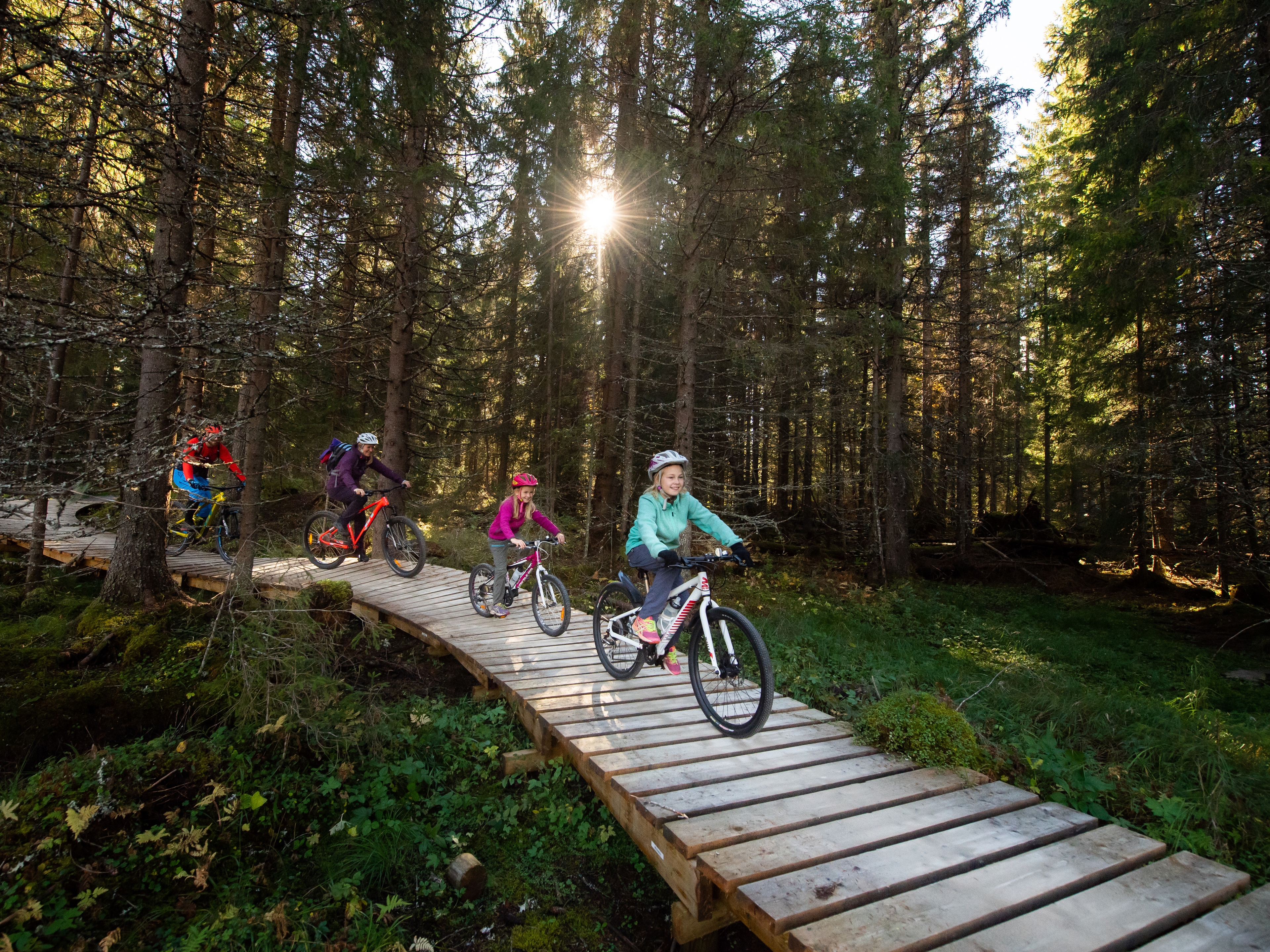 A family of four is biking through the woods in Trysil bike arena in Trysil, Eastern Norway