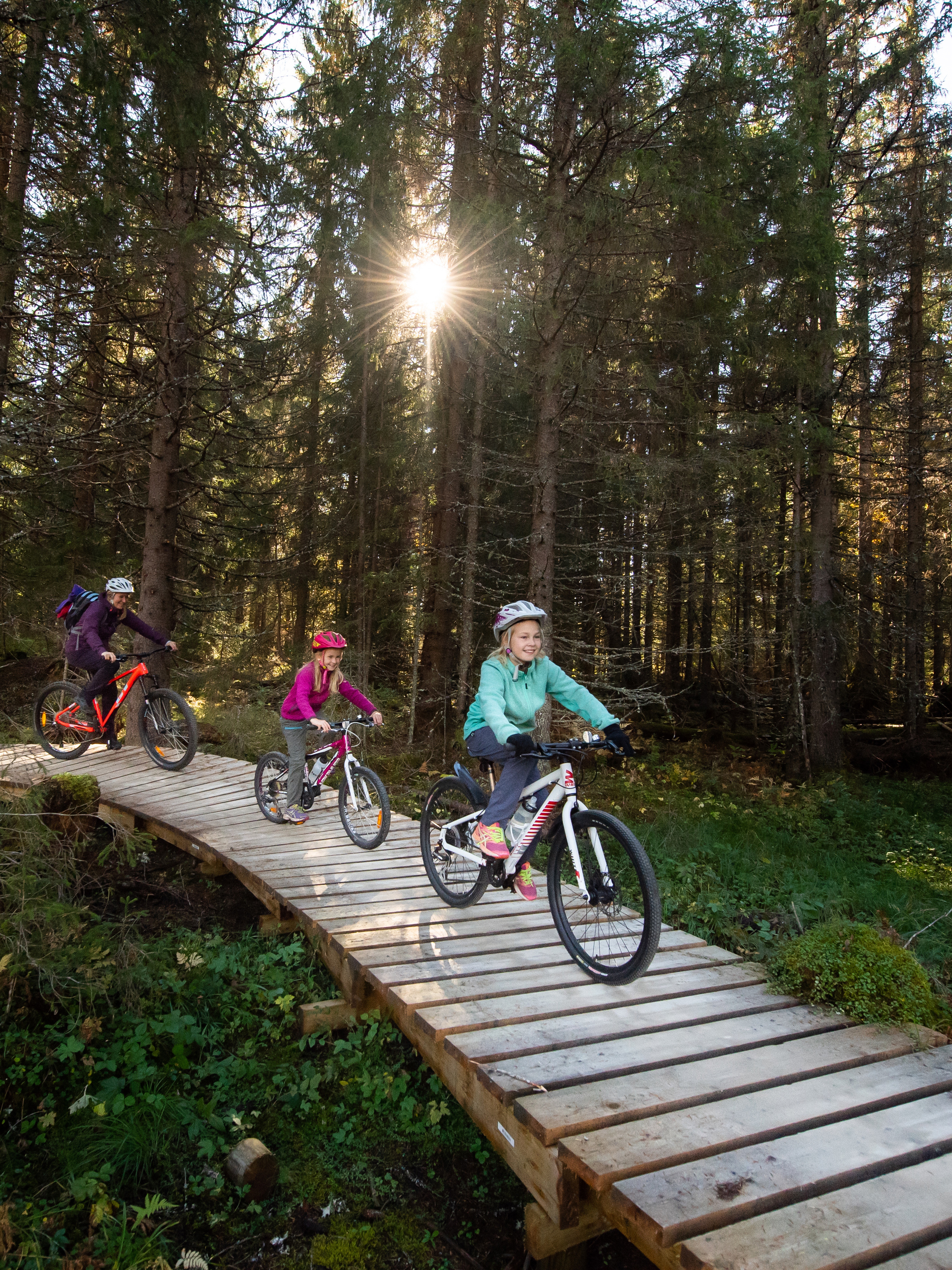 A family of four is biking through the woods in Trysil bike arena in Trysil, Eastern Norway