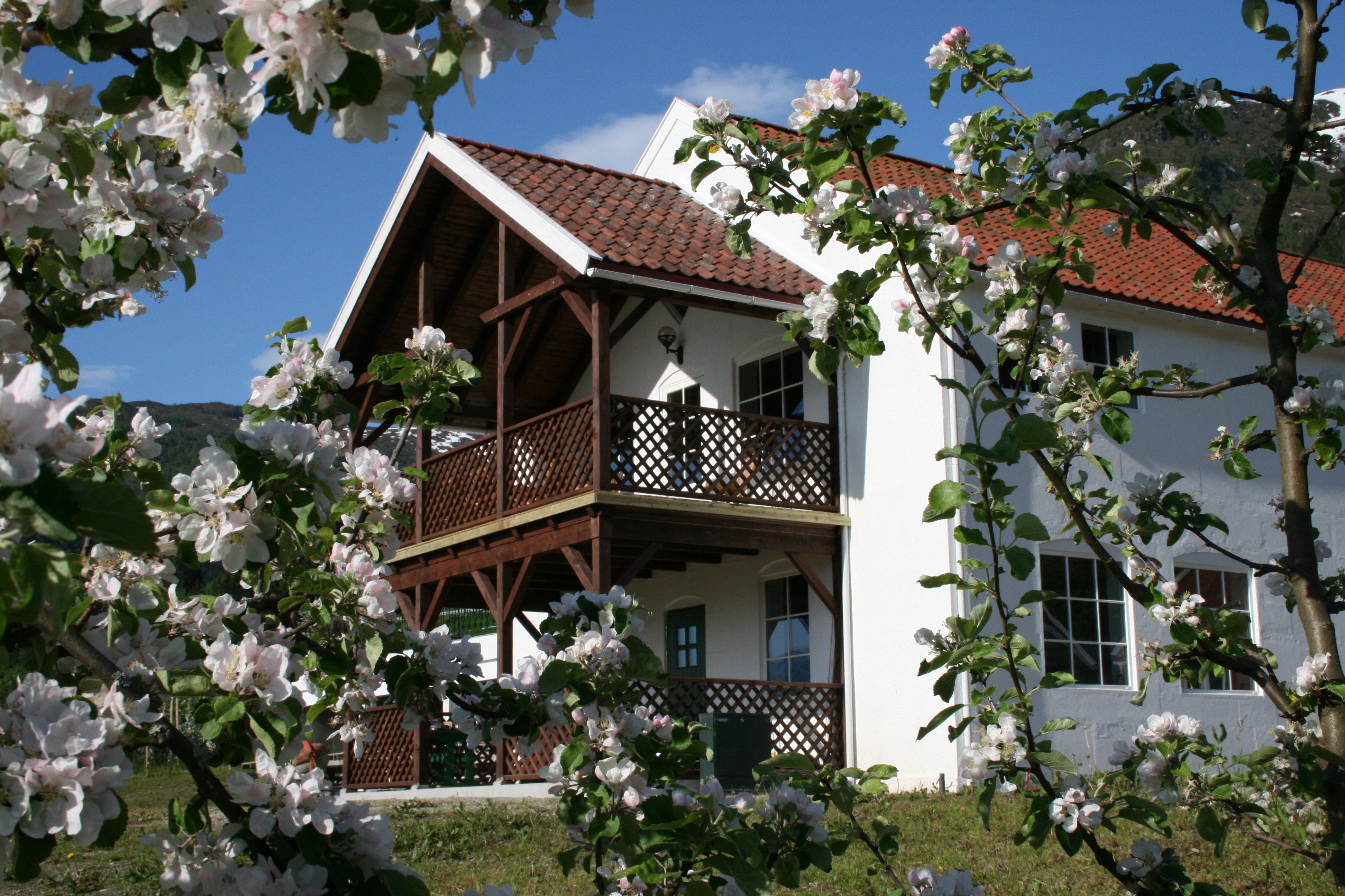View on Ciderhuset, Fjord Norway