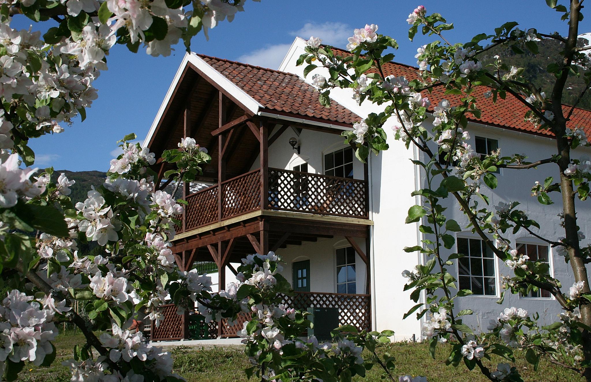 View on Ciderhuset, Fjord Norway