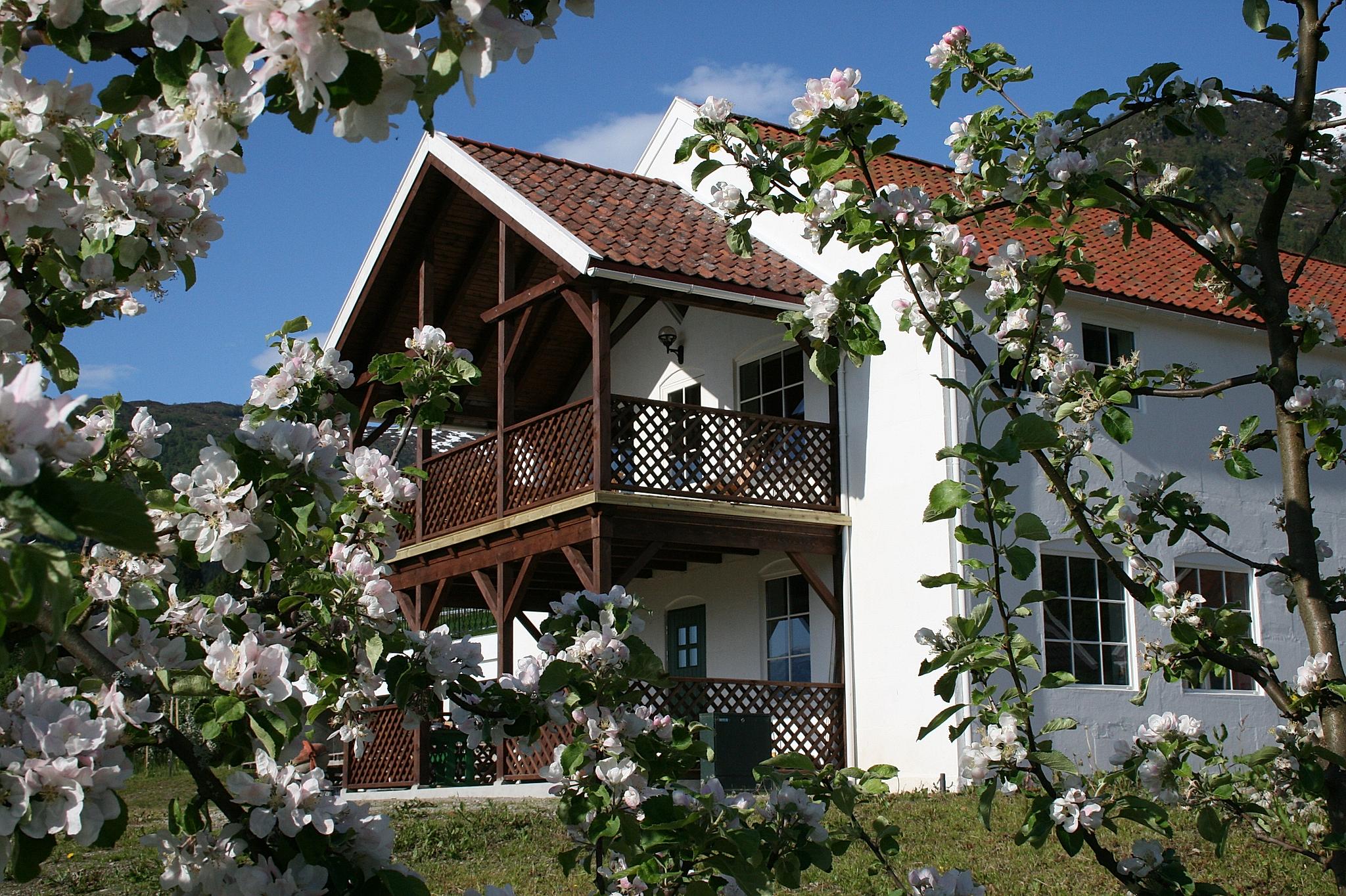 View on Ciderhuset, Fjord Norway