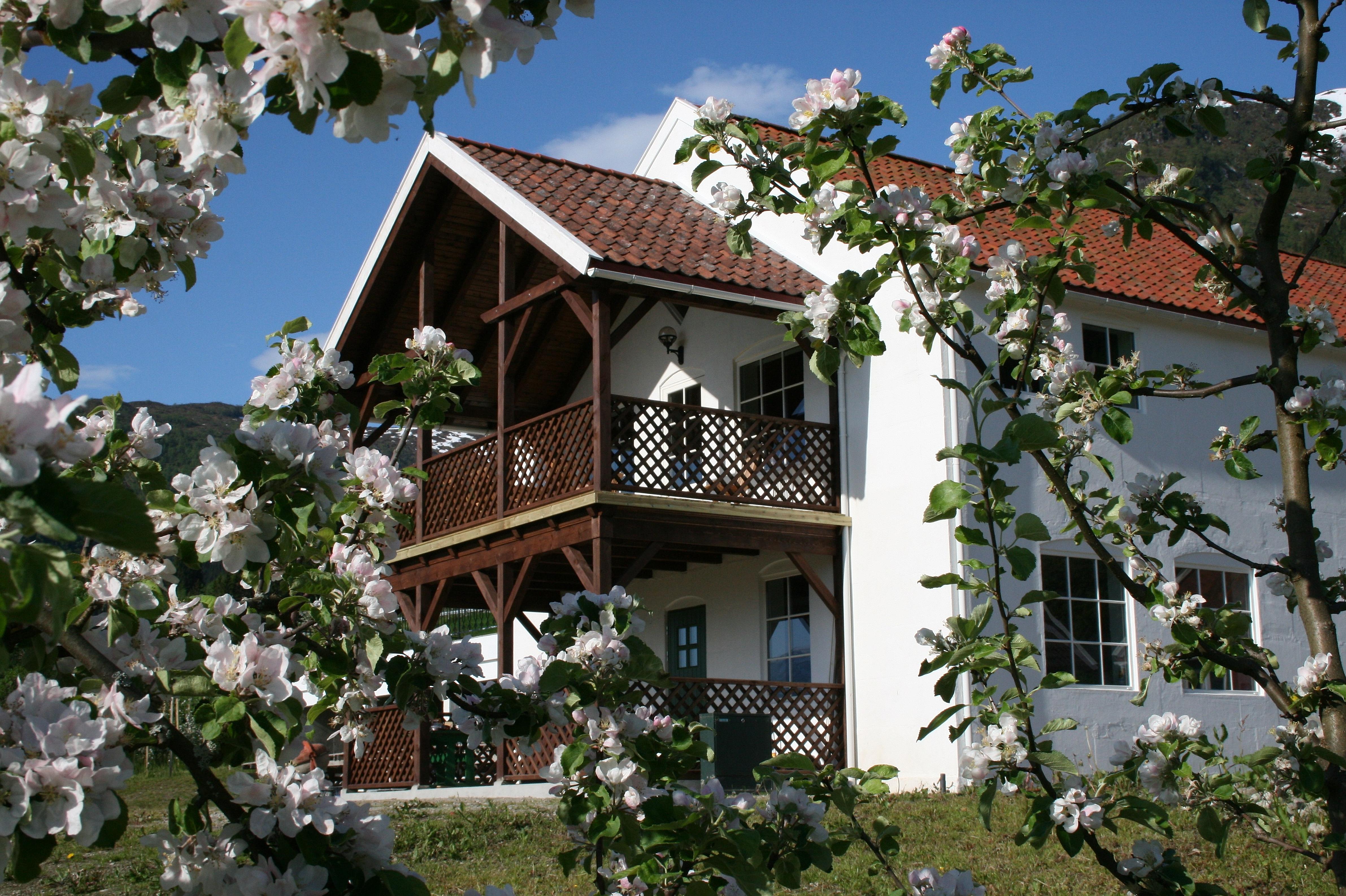 View on Ciderhuset, Fjord Norway