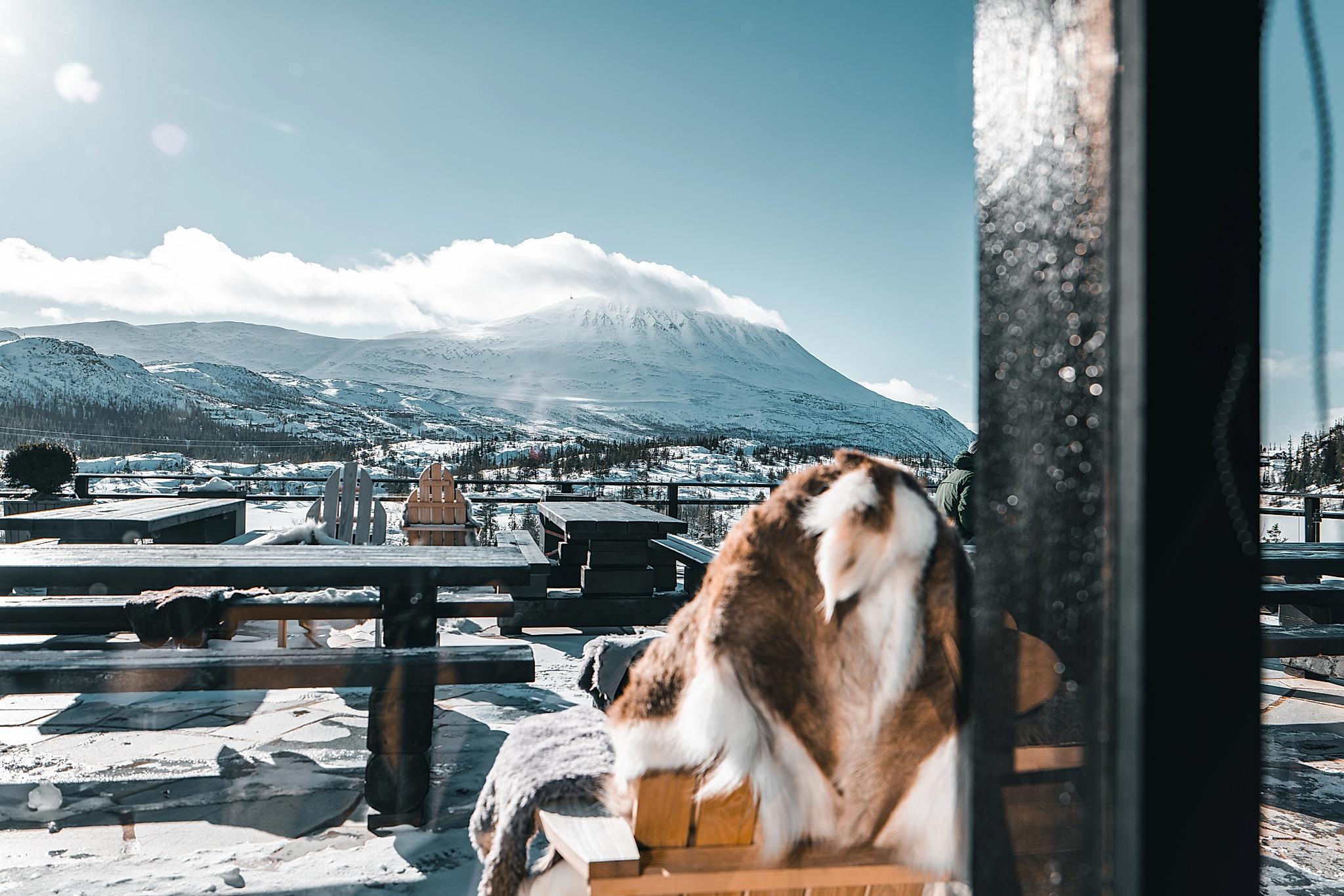 Interior at Gaustablikk Mountain Resort, Rjukan