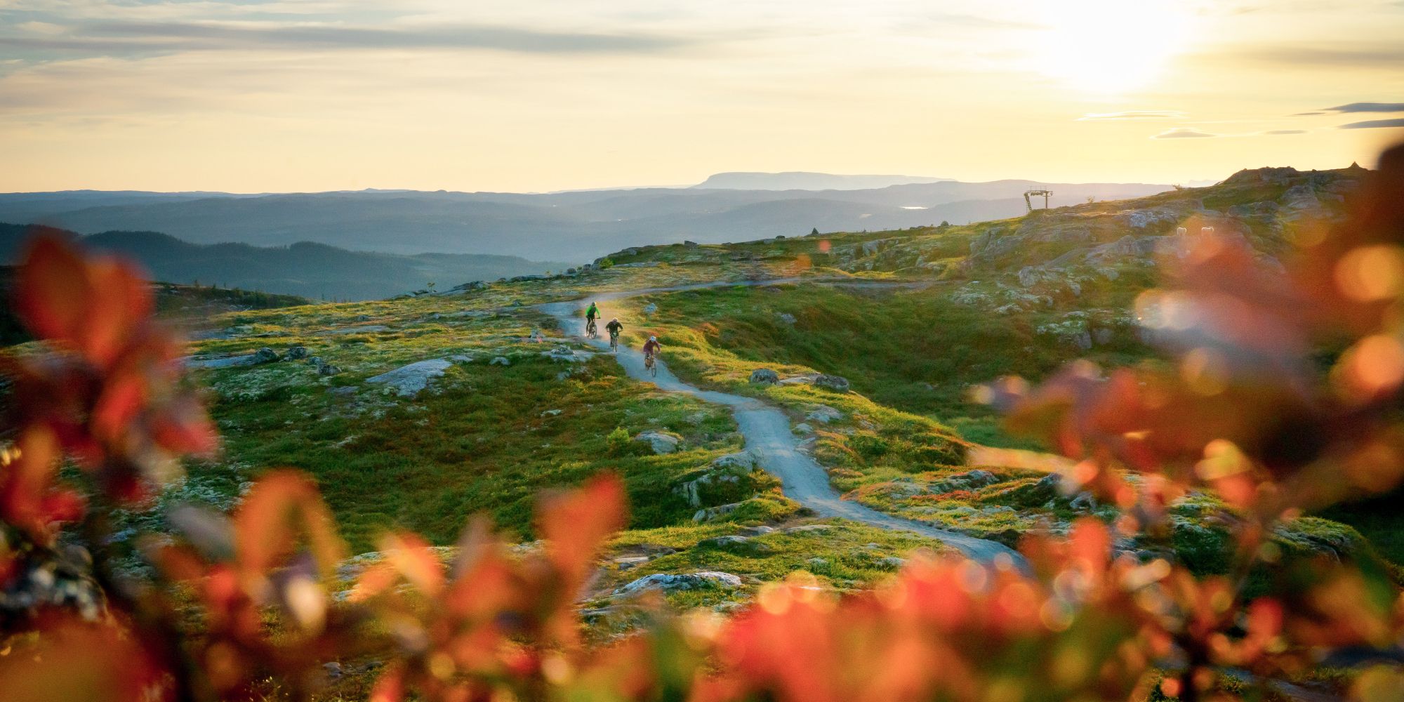 People cycling in Hallingspranget, Eastern Norway.