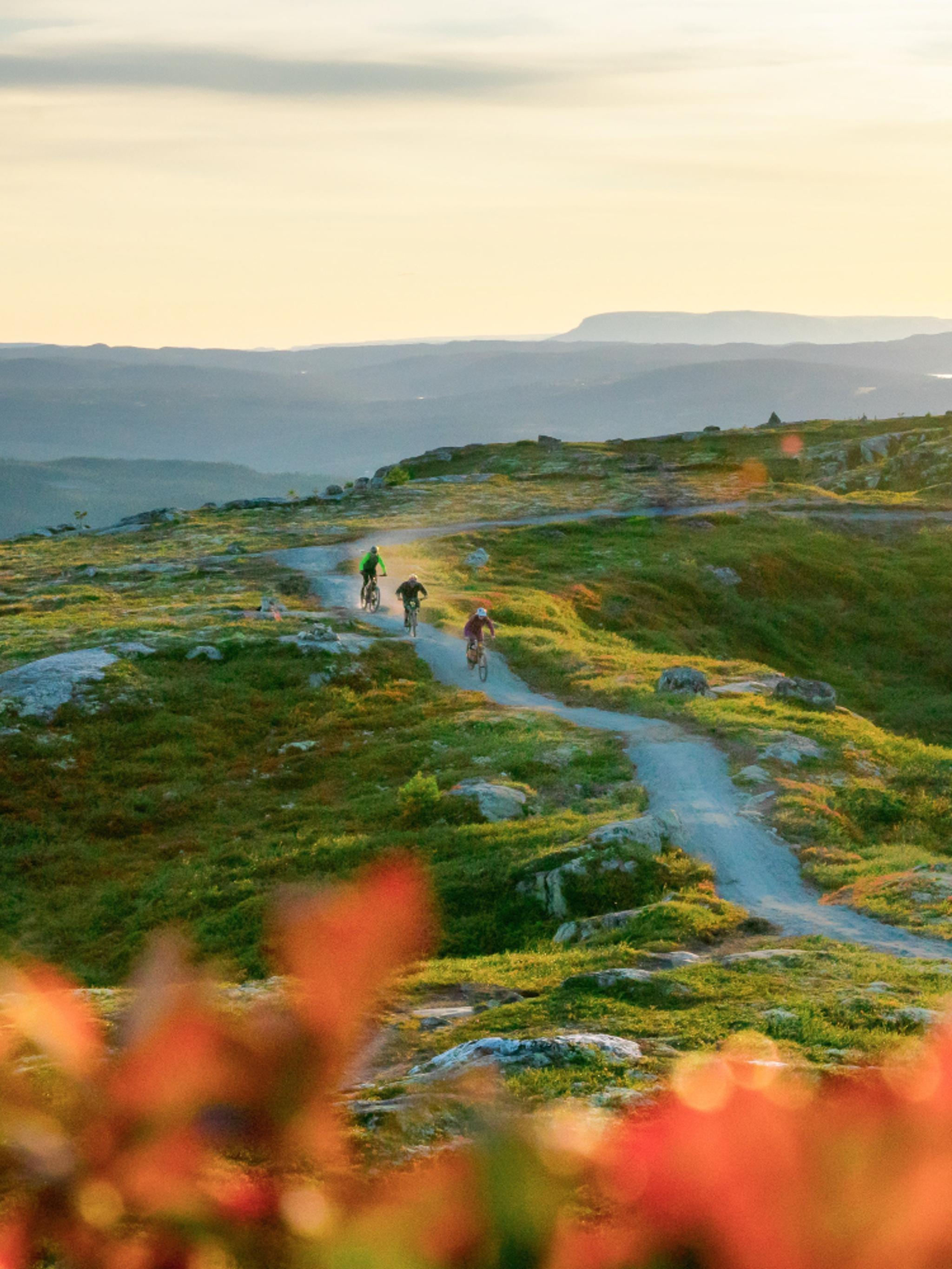 People cycling in Hallingspranget, Eastern Norway.