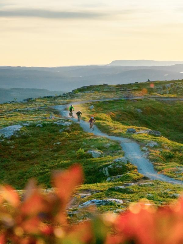 People cycling in Hallingspranget, Eastern Norway.