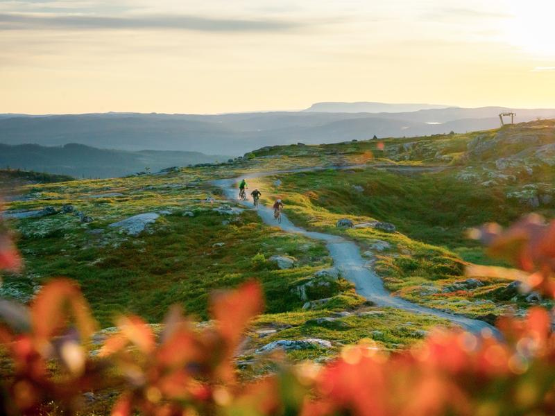 People cycling in Hallingspranget, Eastern Norway.
