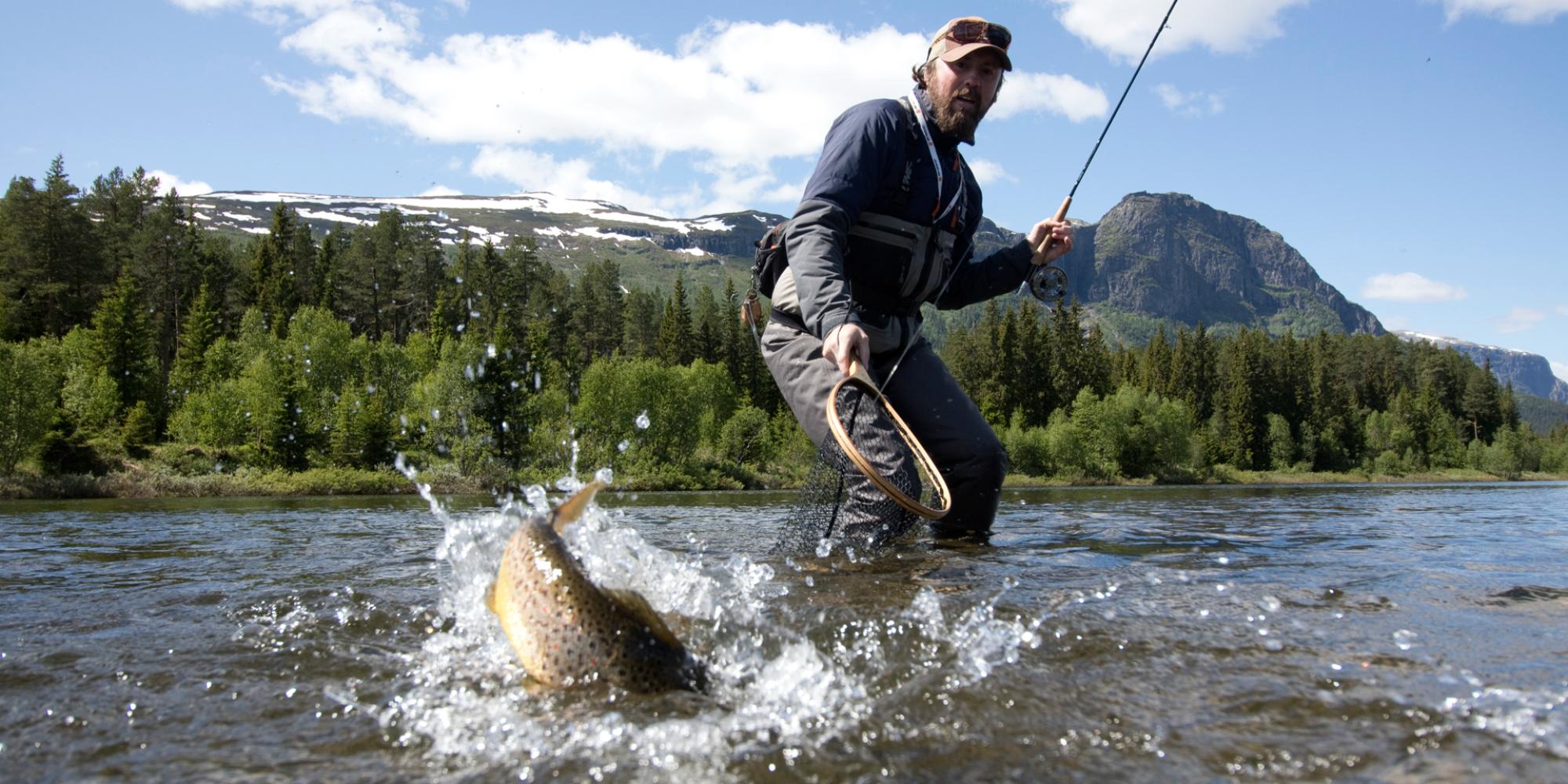 A man catching a fish in a river in Hemsedal, Eastern Norway