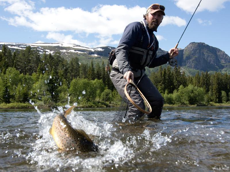 A man catching a fish in a river in Hemsedal, Eastern Norway