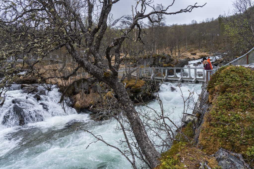 A couple standing on a bridge crossing a lively river in lush mountains
