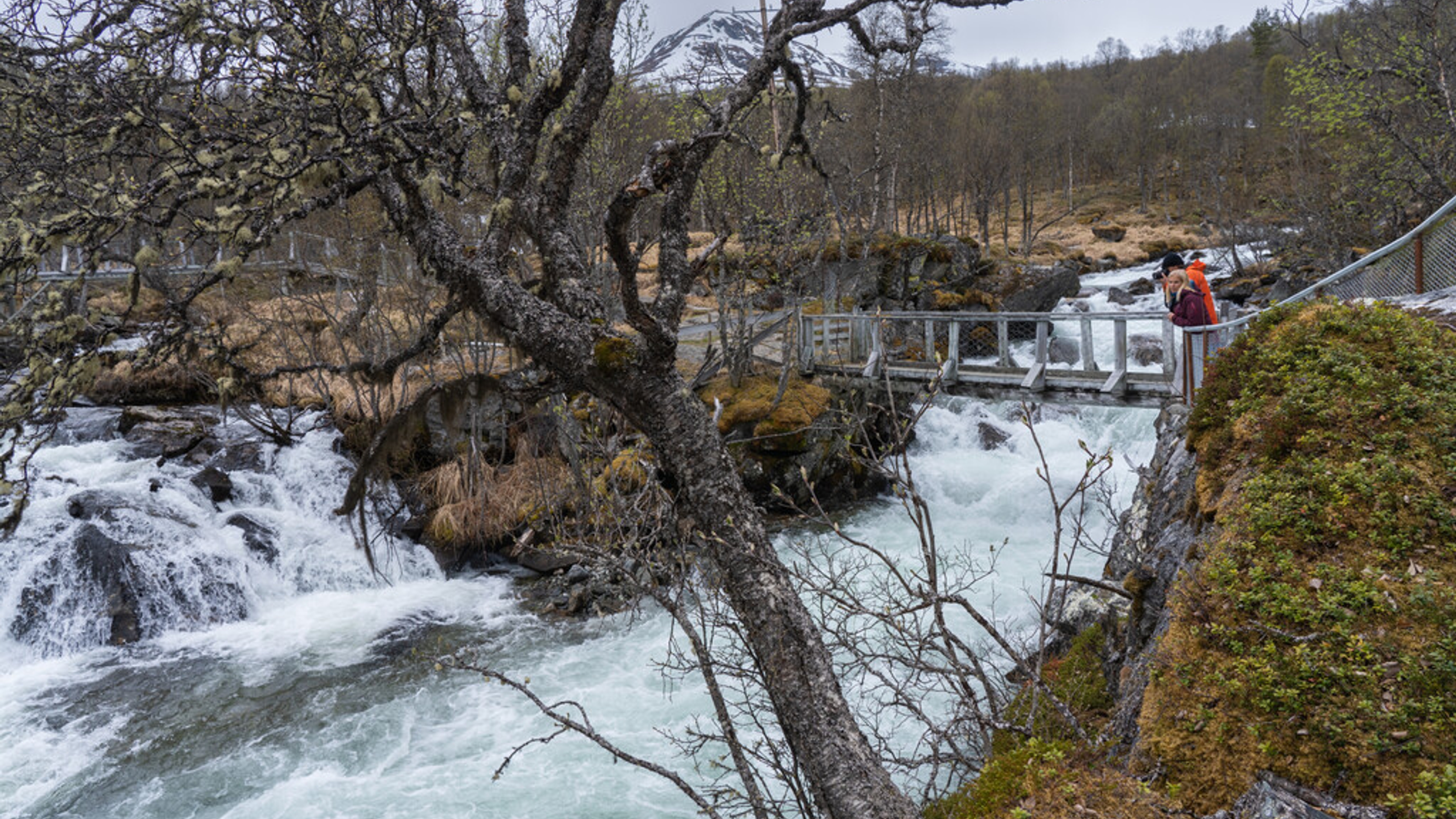 A couple standing on a bridge crossing a lively river in lush mountains