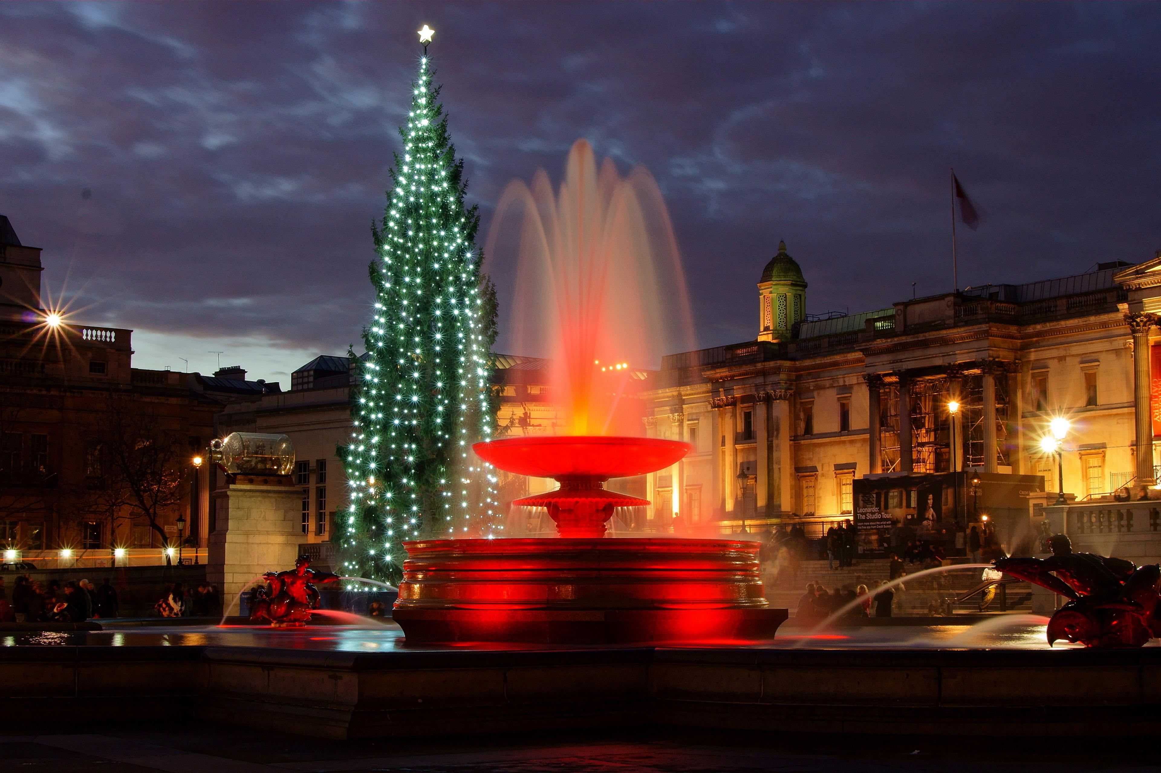 Christmas tree at Trafalgar Square at night in London