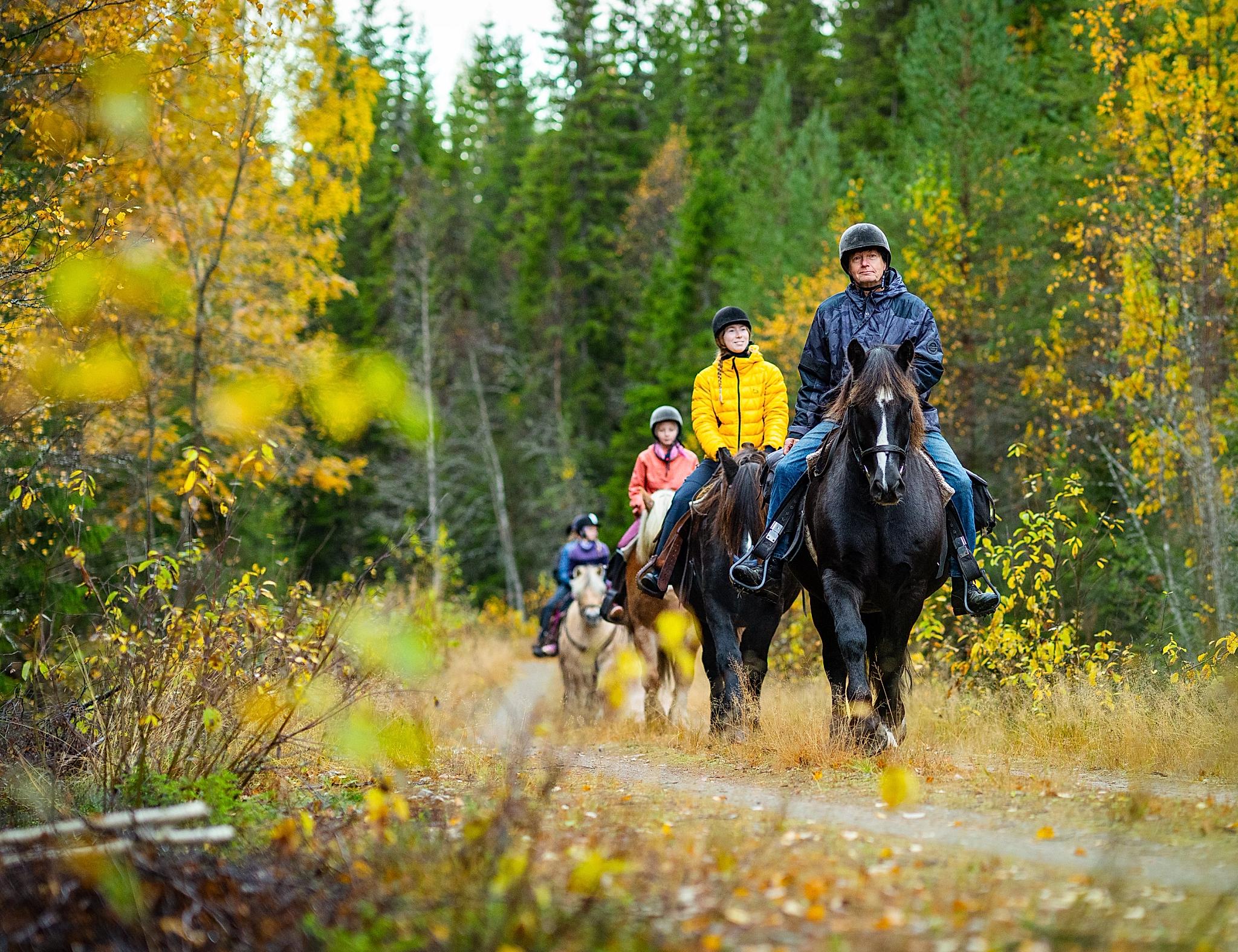 Folk på ridetur i skogen i Trysil.